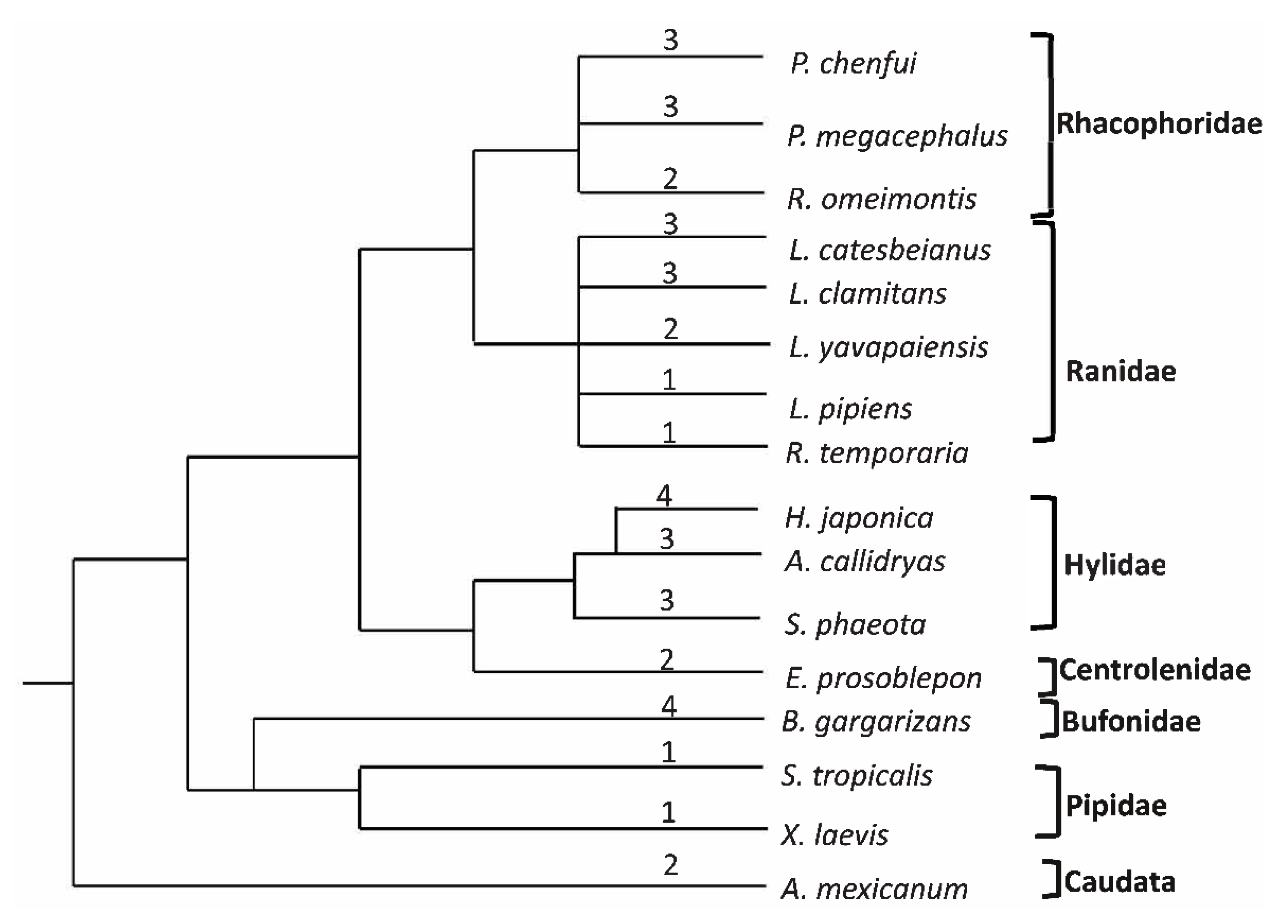 Animals 10 00034 g006 Animals 10 00034 g006