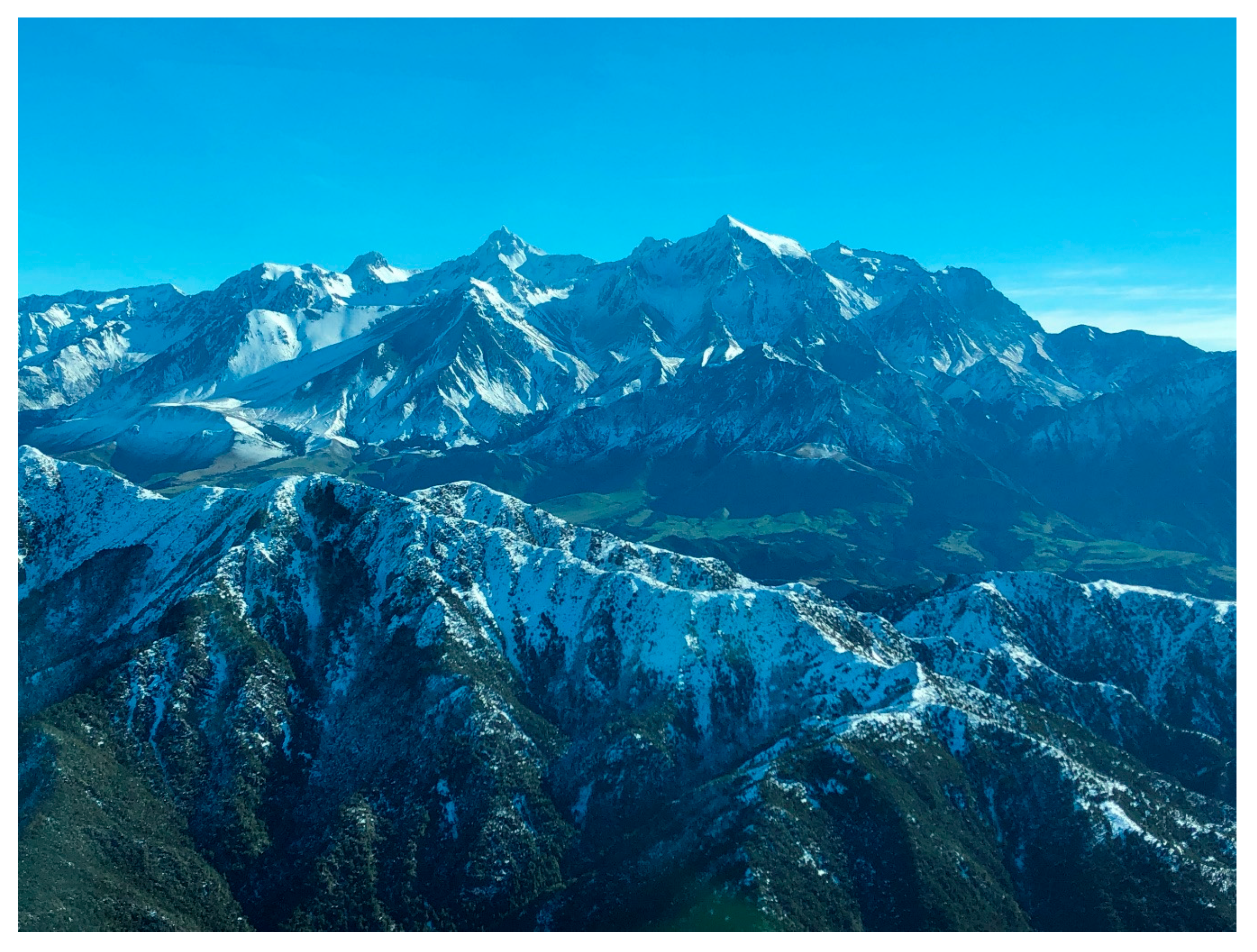 Animals 10 00044 g005