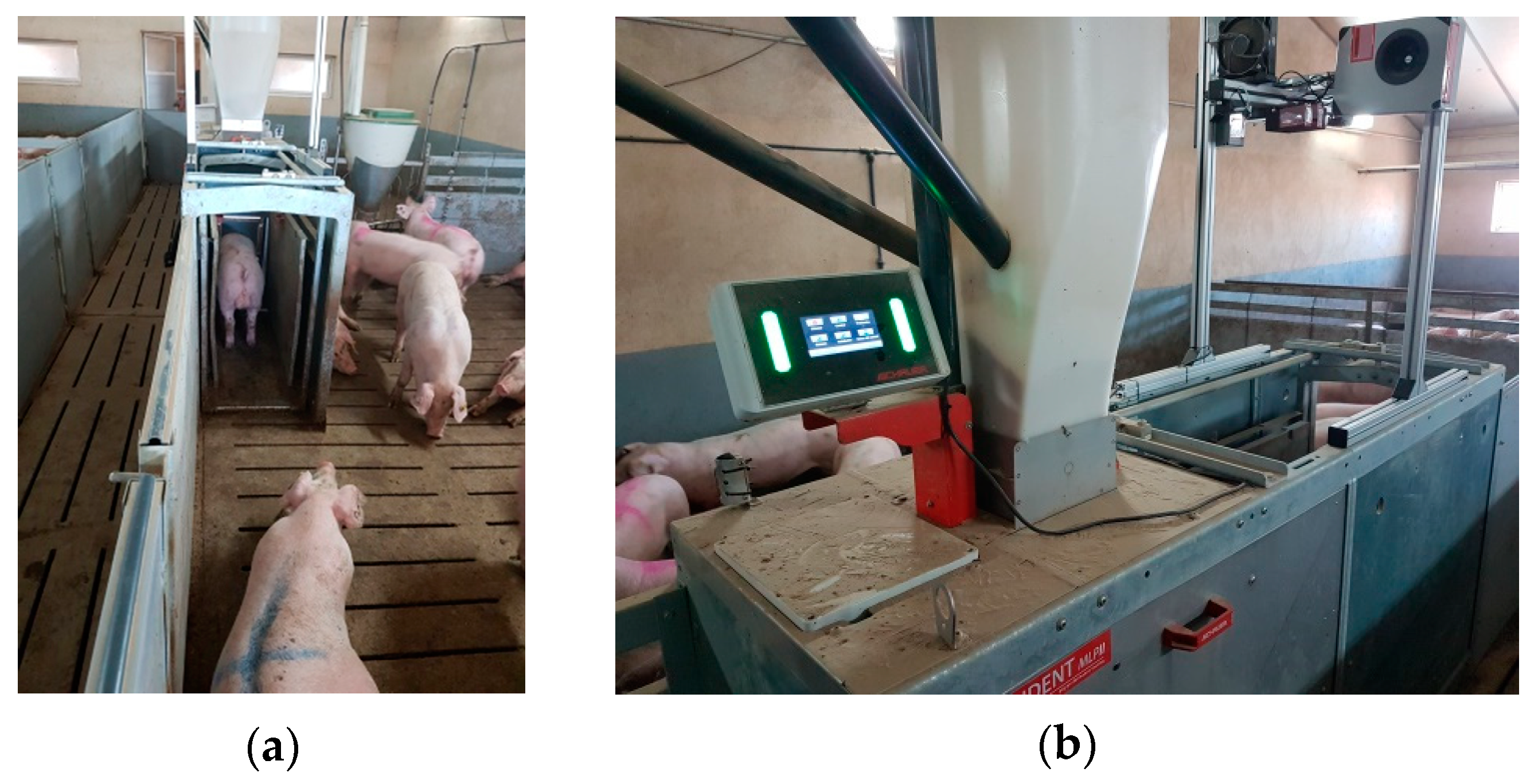 Animals 10 00052 g001 Animals 10 00052 g001