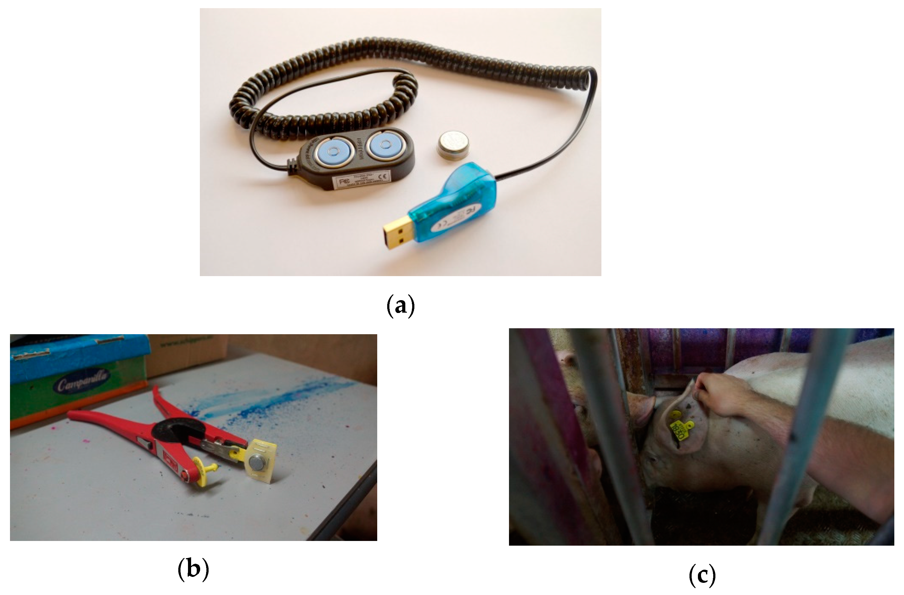 Animals 10 00052 g002 Animals 10 00052 g002