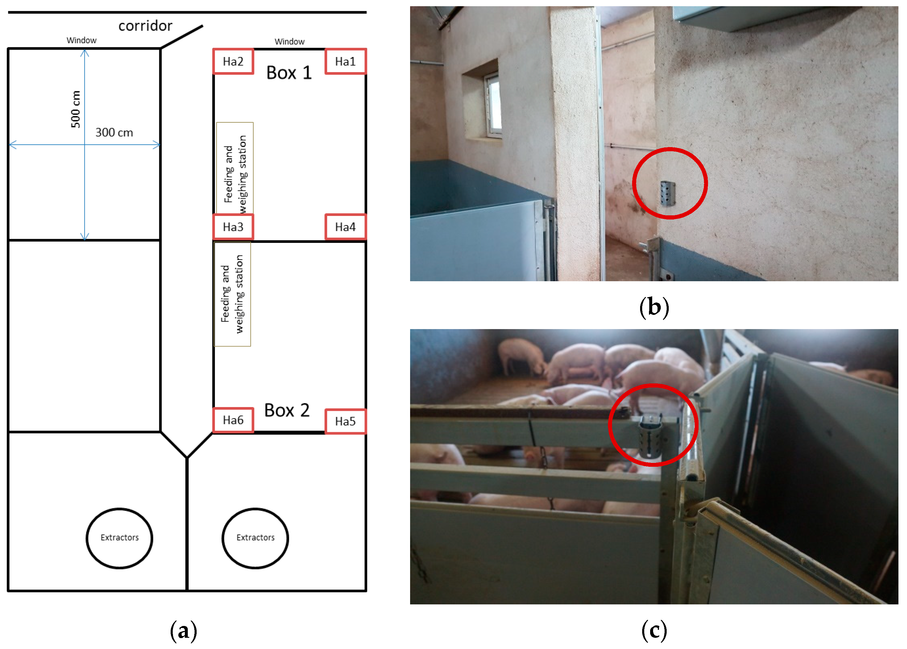 Animals 10 00052 g003 Animals 10 00052 g003