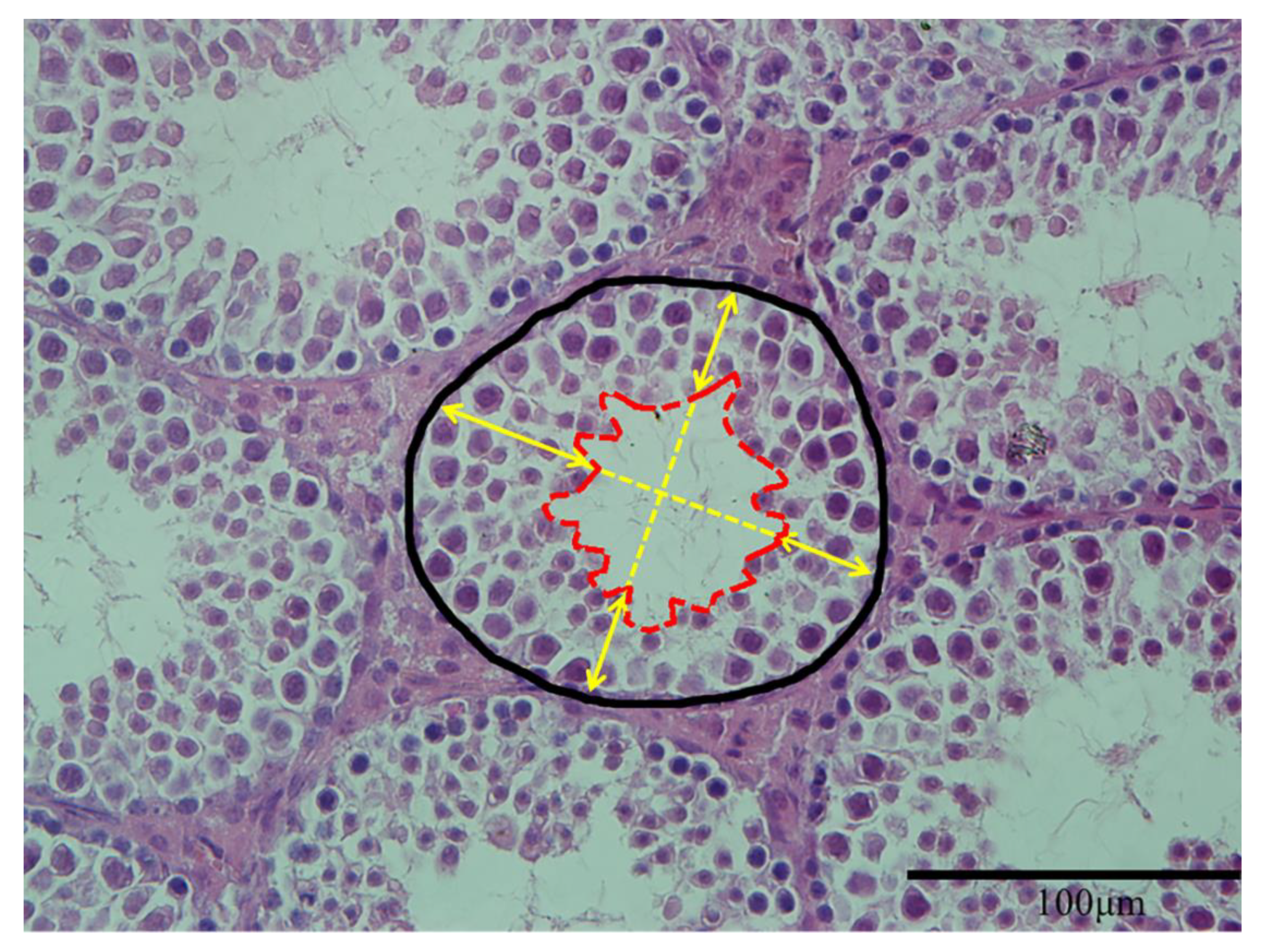 Animals 10 00074 g001