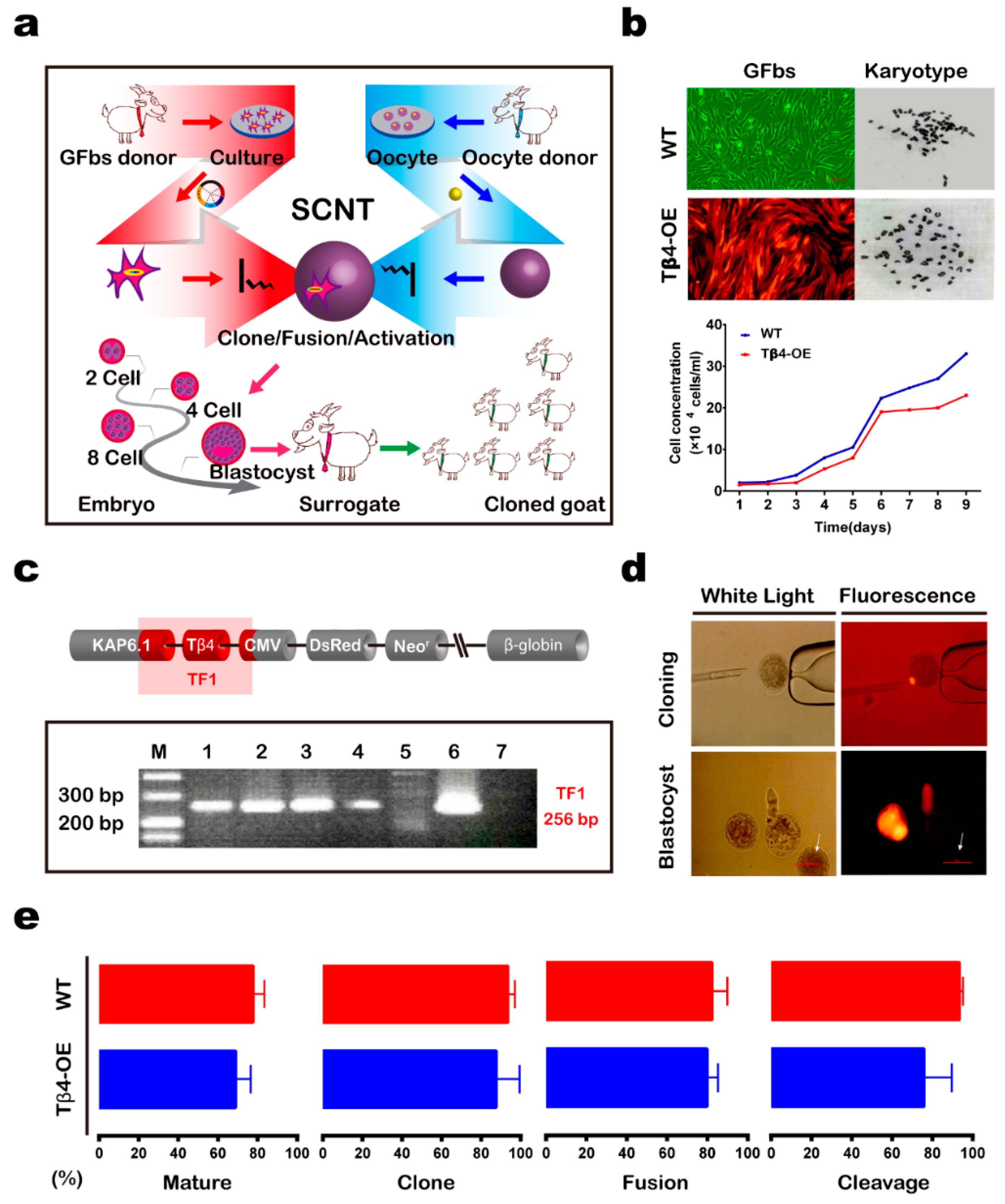 Animals 10 00075 g001