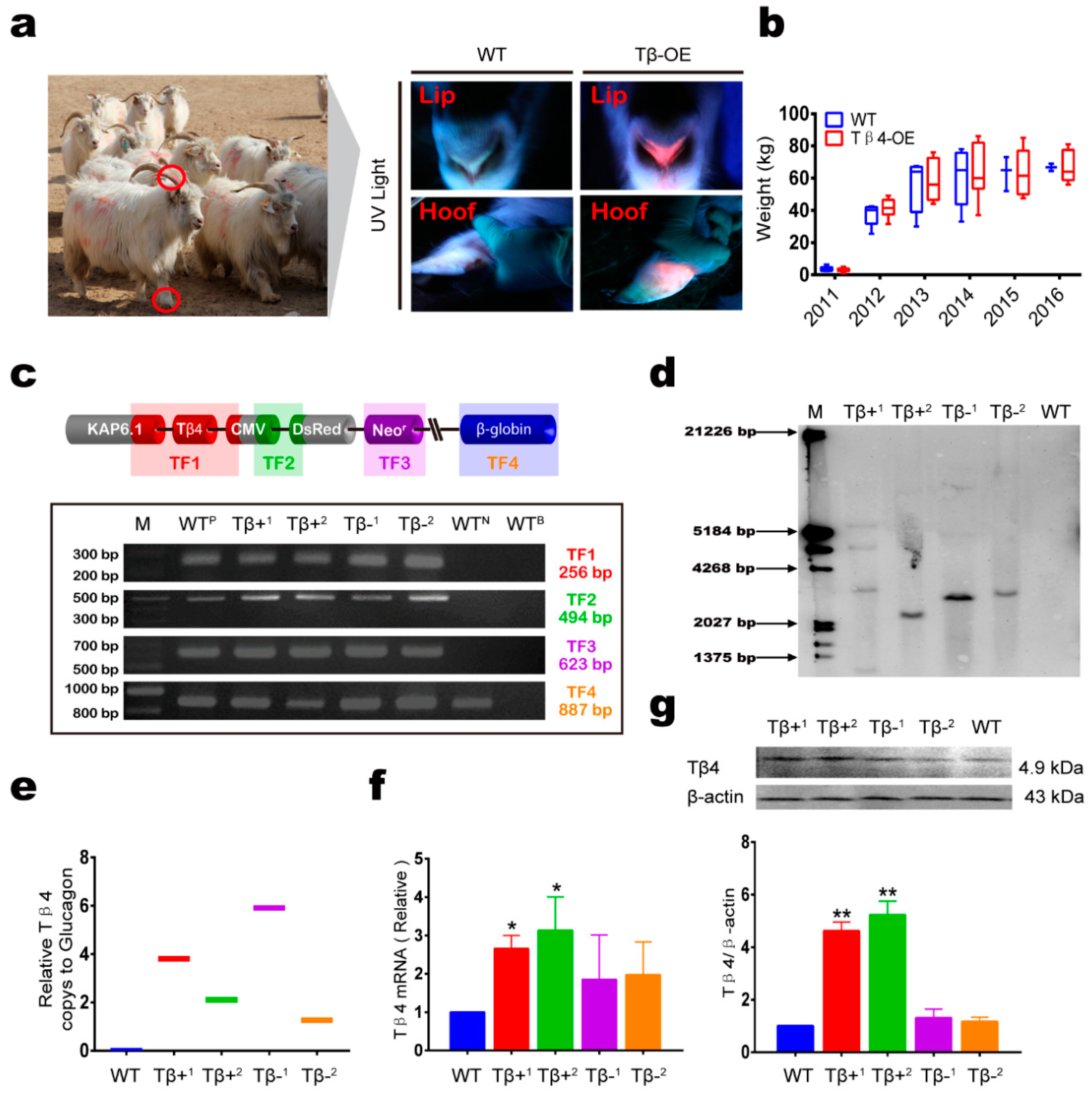 Animals 10 00075 g002