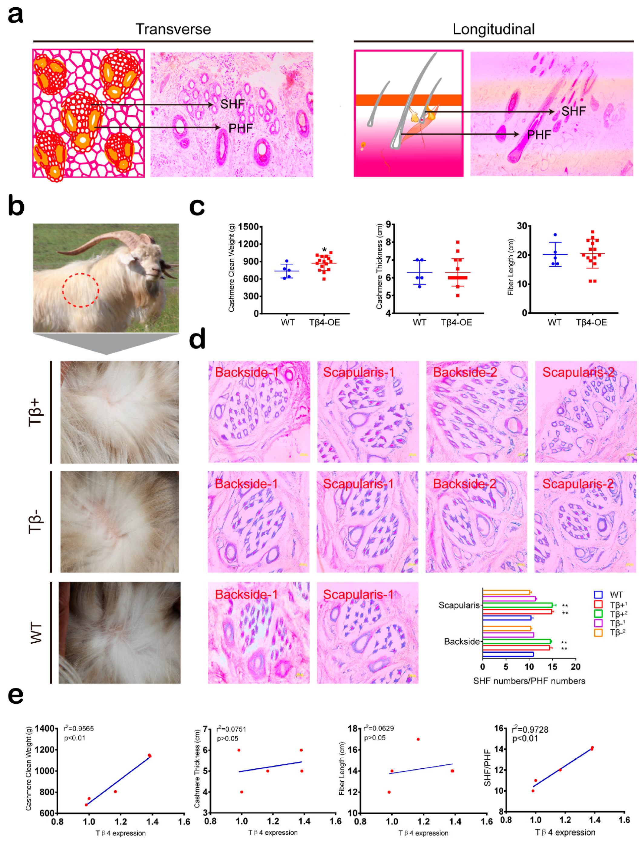 Animals 10 00075 g003