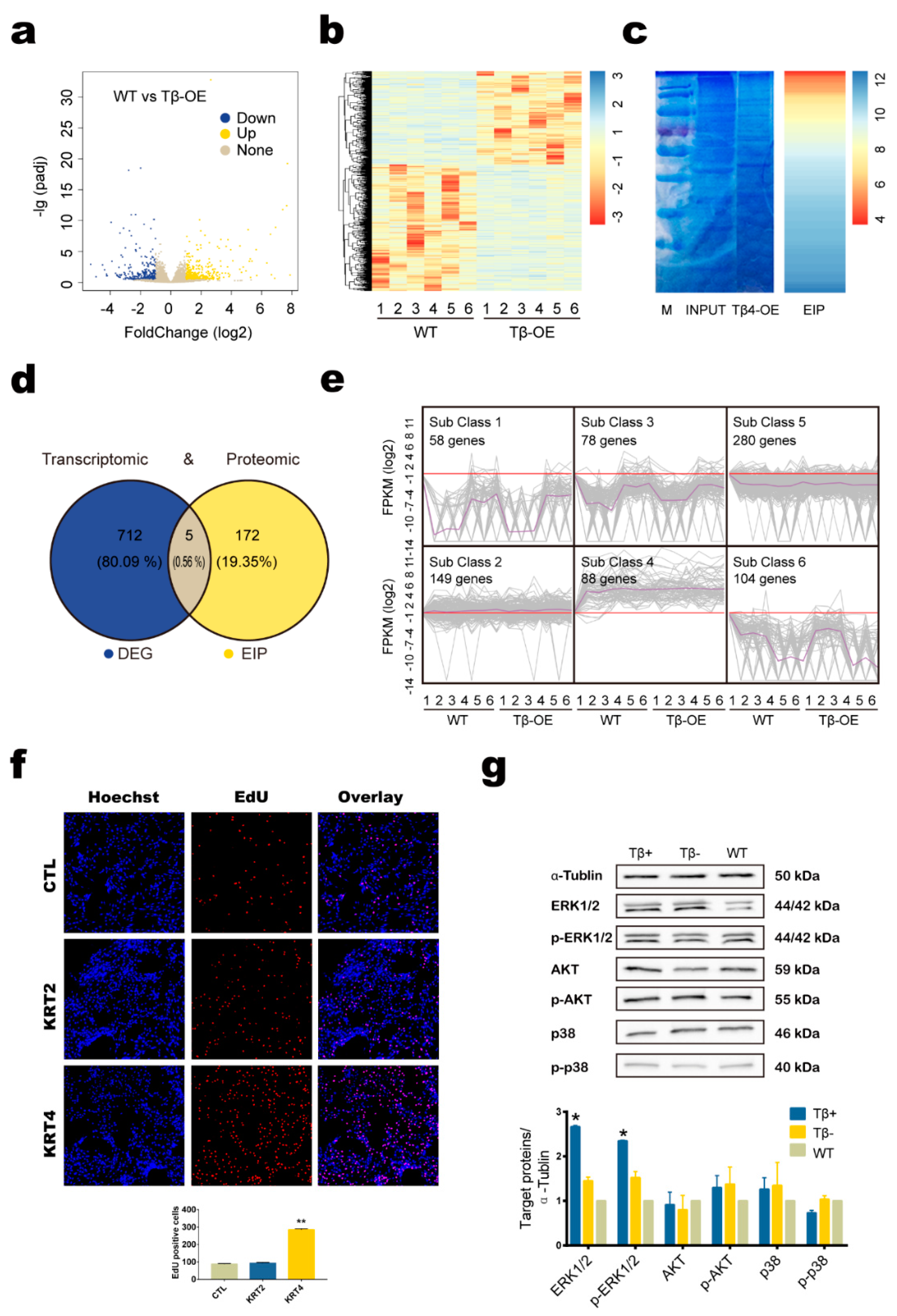 Animals 10 00075 g004