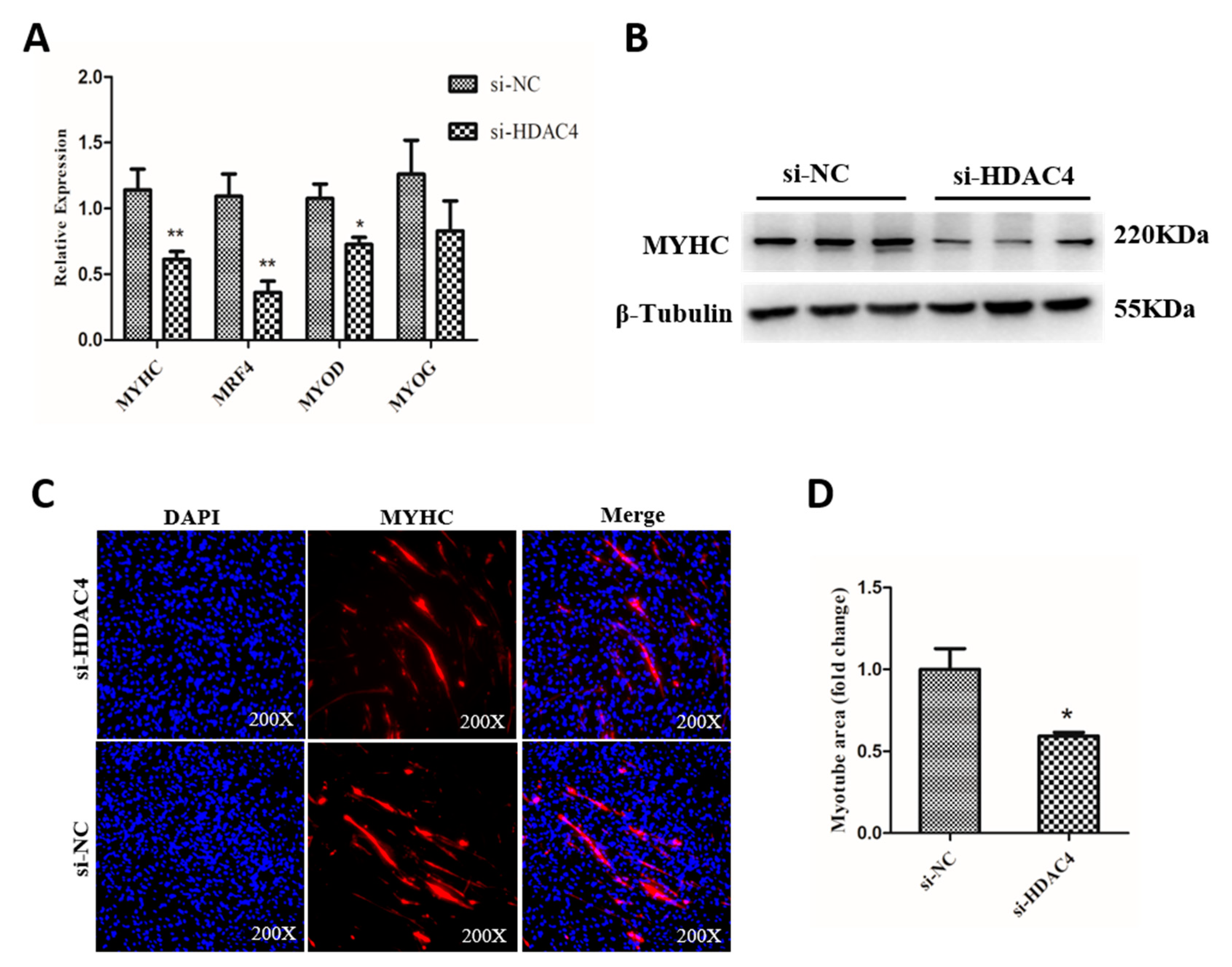 Animals 10 00084 g004 Animals 10 00084 g004