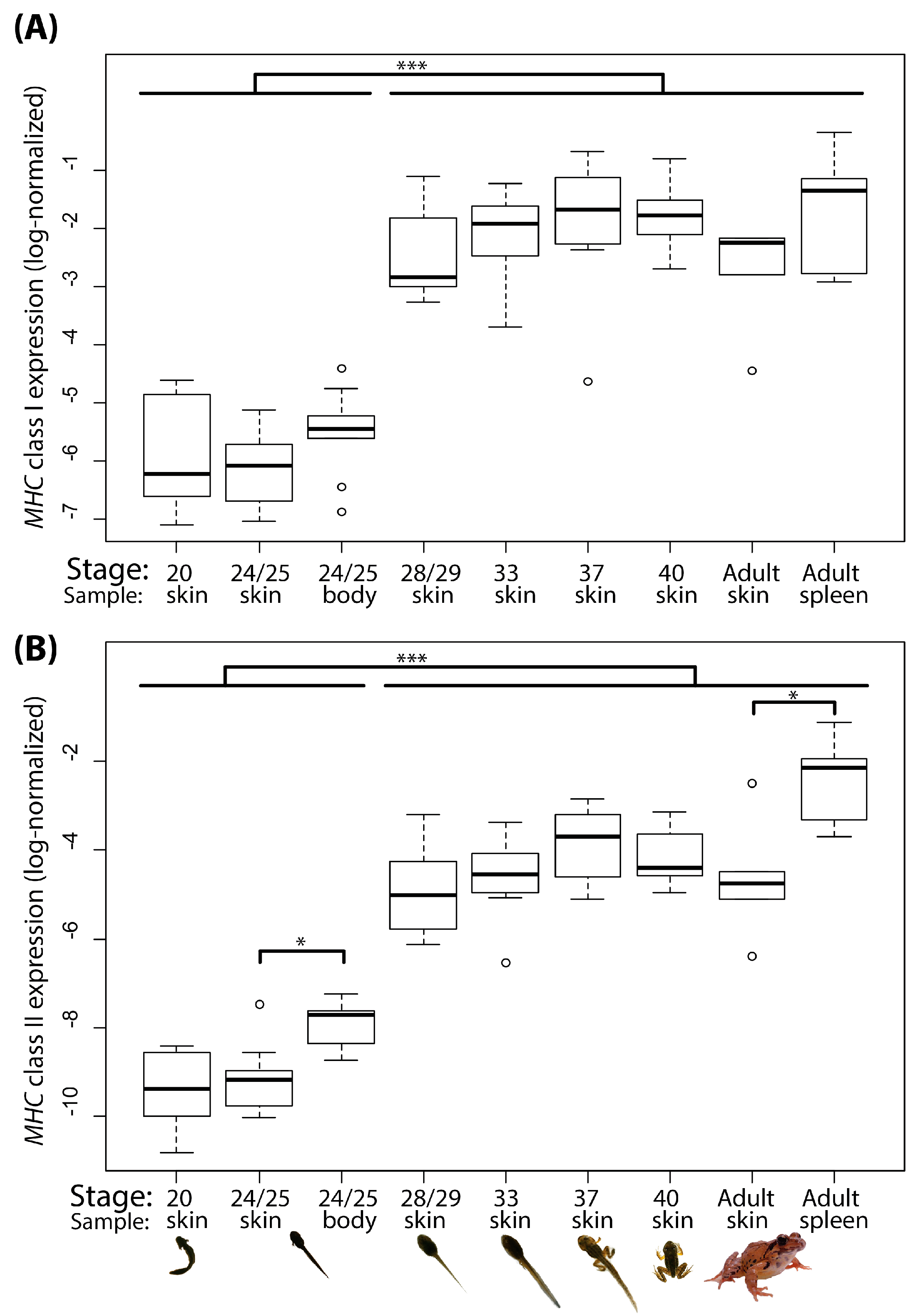 Animals 10 00091 g002 Animals 10 00091 g002