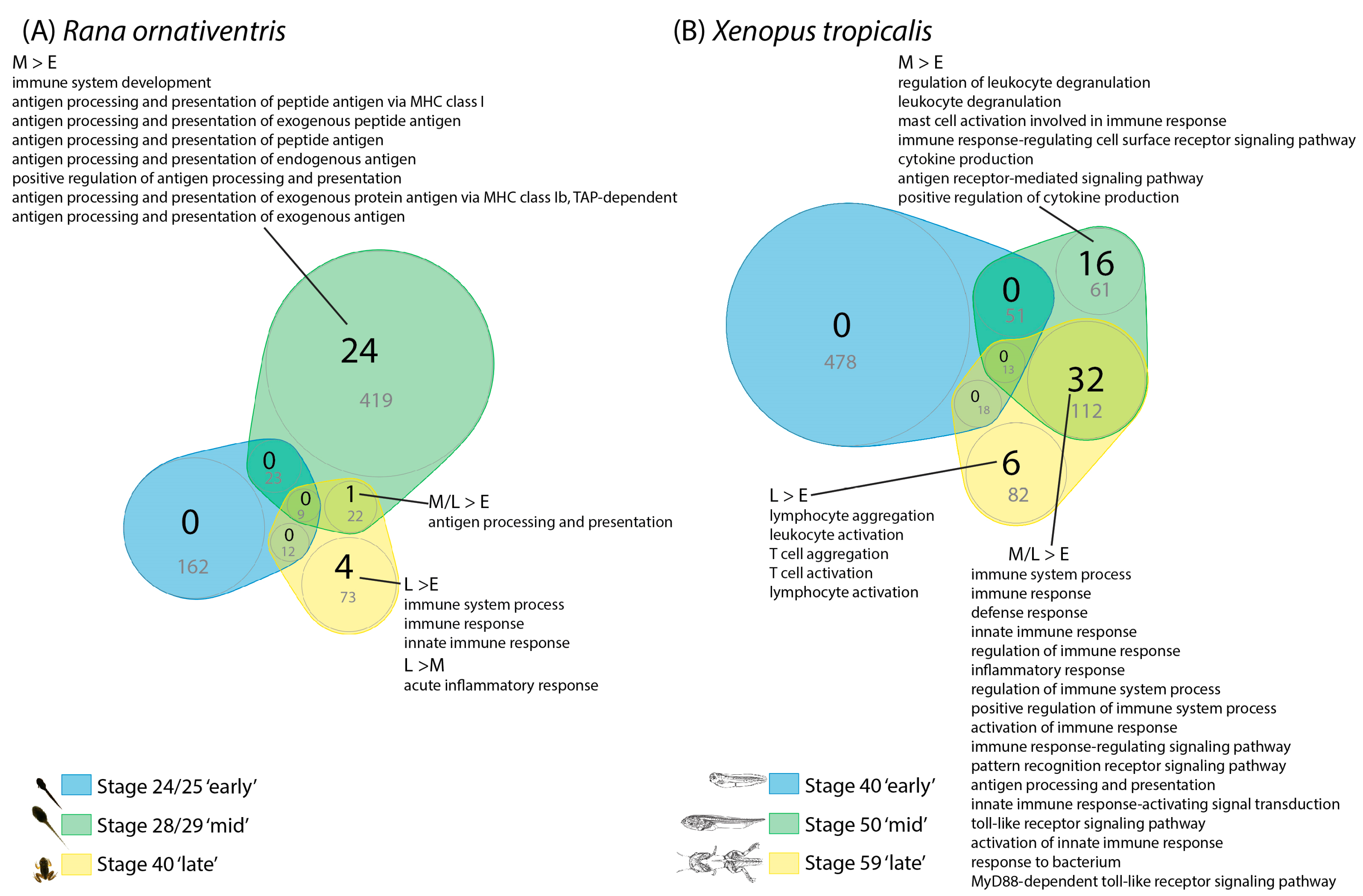 Animals 10 00091 g003 Animals 10 00091 g003