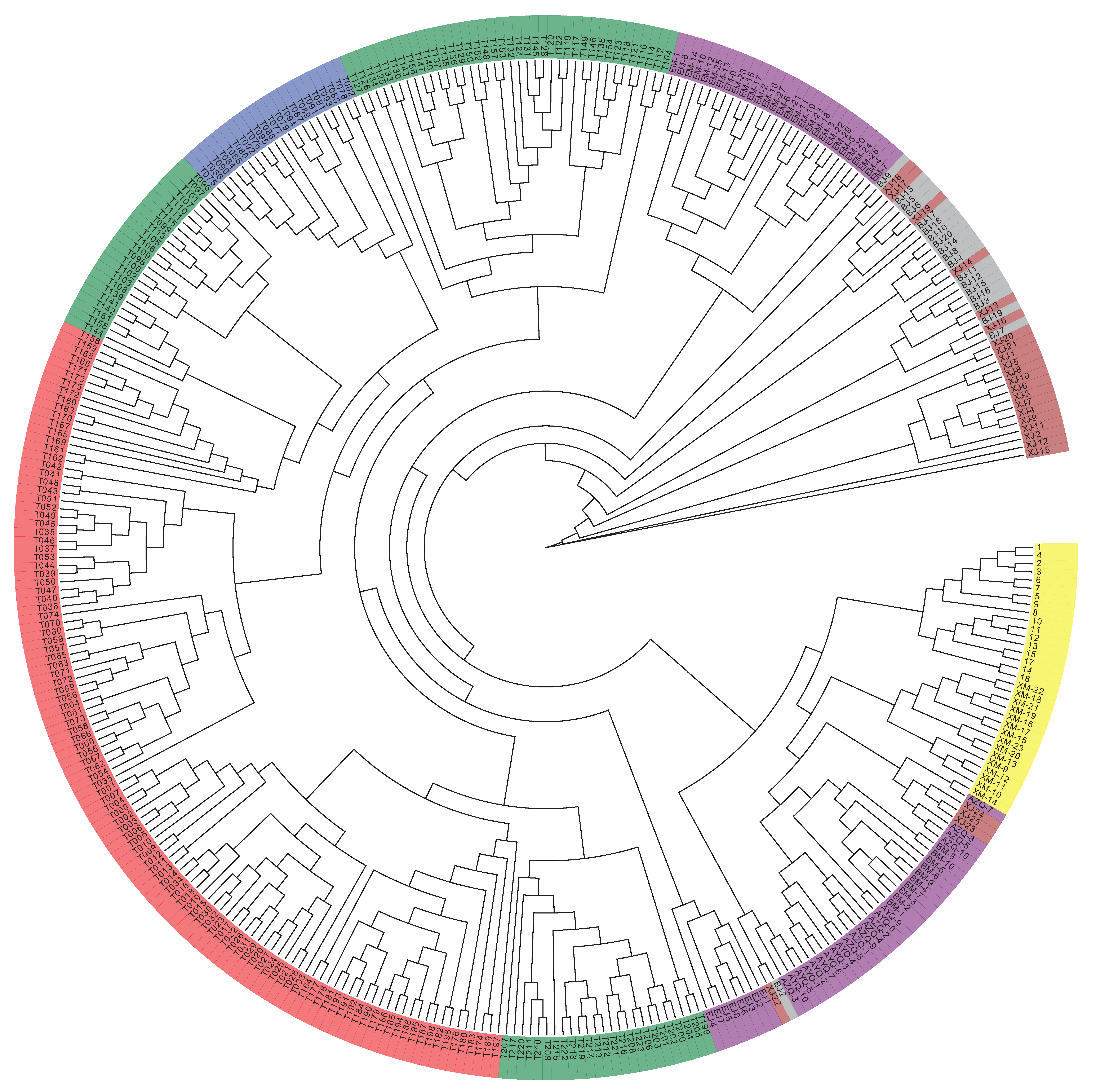 Animals 10 00096 g001