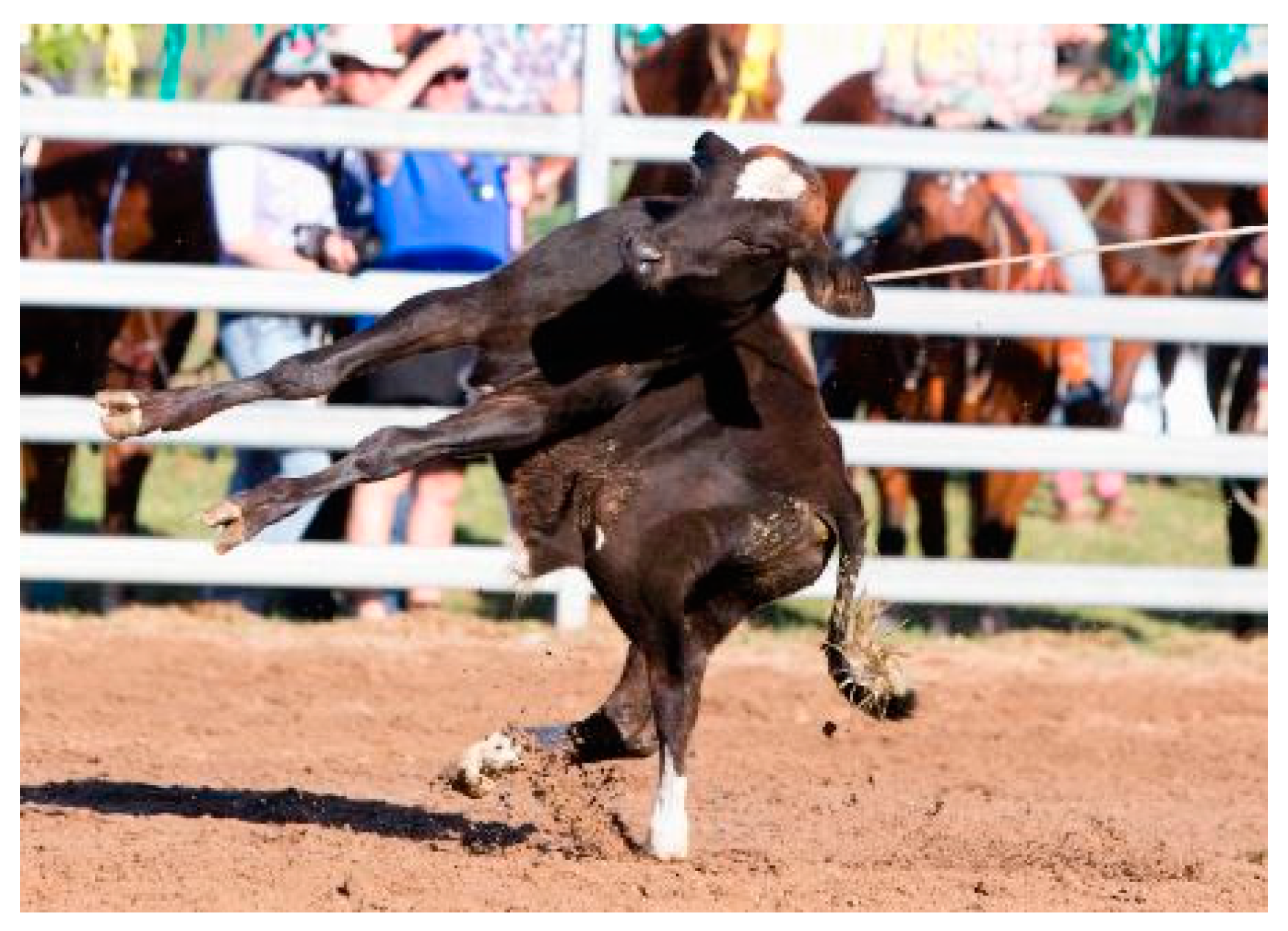 Animals 10 00113 g002