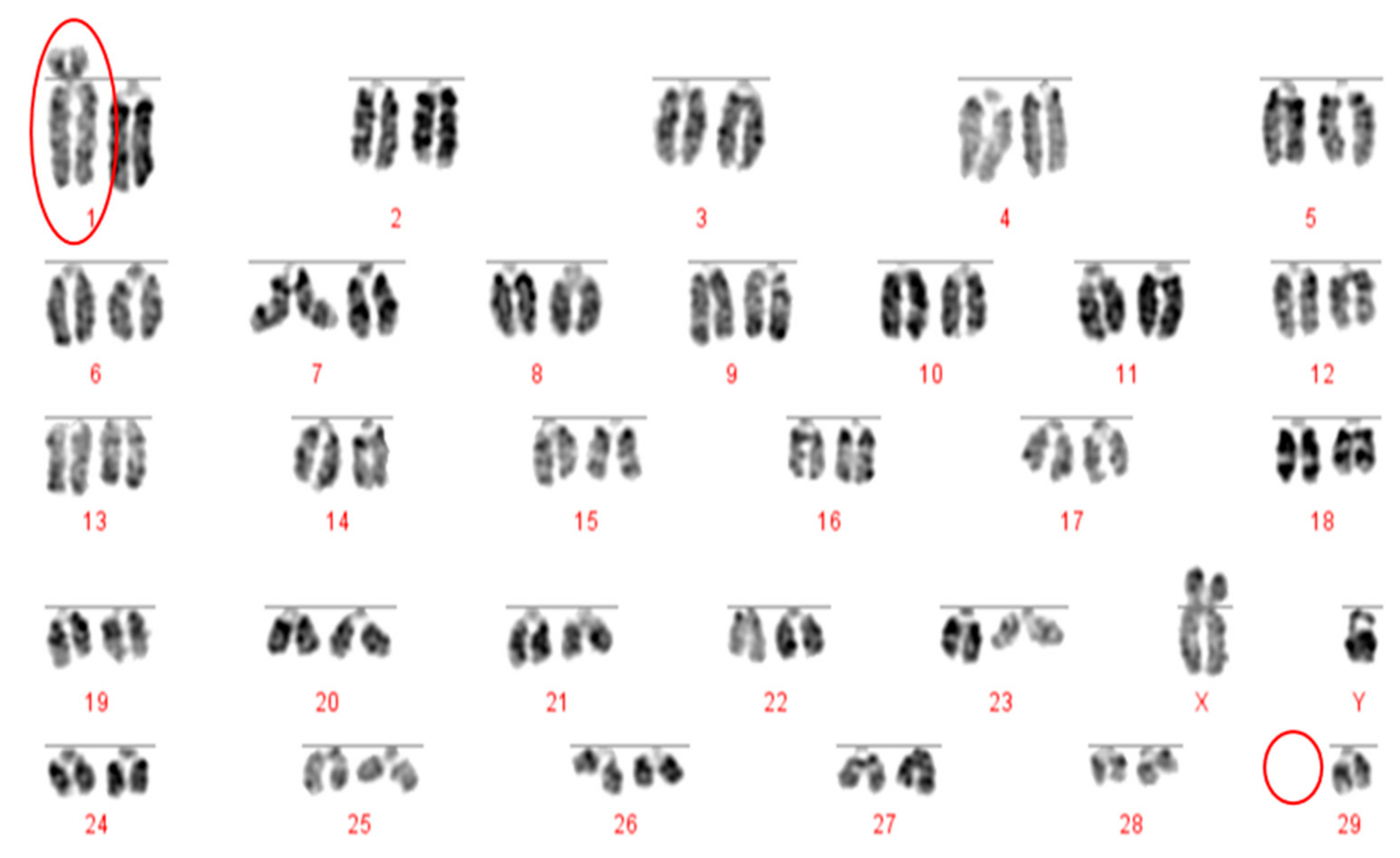 Animals 10 00114 g002