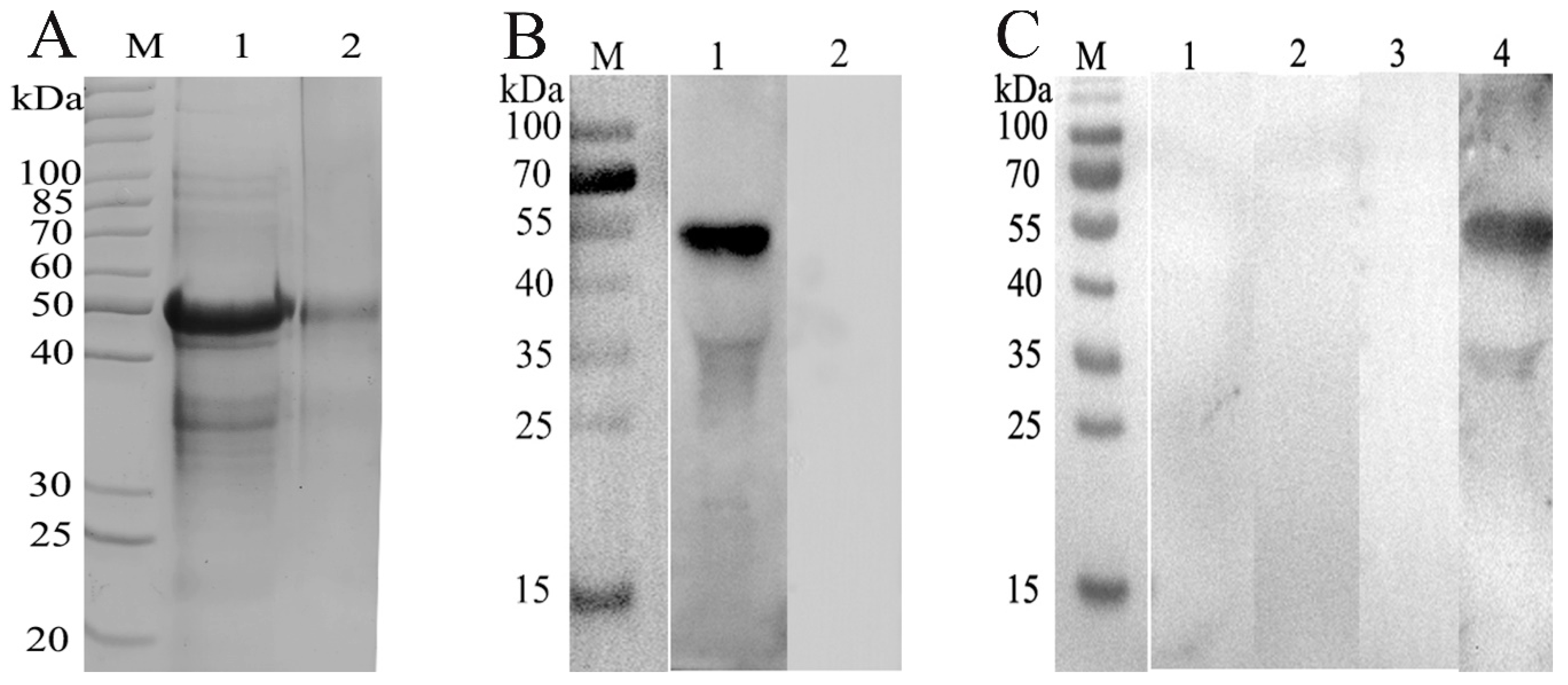 Animals 10 00138 g001