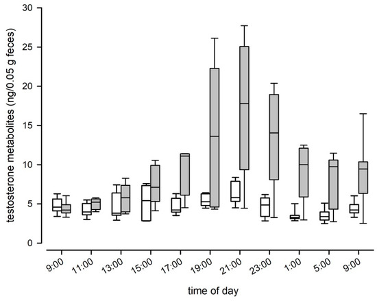 Animals | Free Full-Text | Measurement of Fecal Testosterone Metabolites in Mice: Replacement of Invasive Techniques Animals | Free Full-Text | Measurement of Fecal Testosterone Metabolites in Mice: Replacement of Invasive Techniques