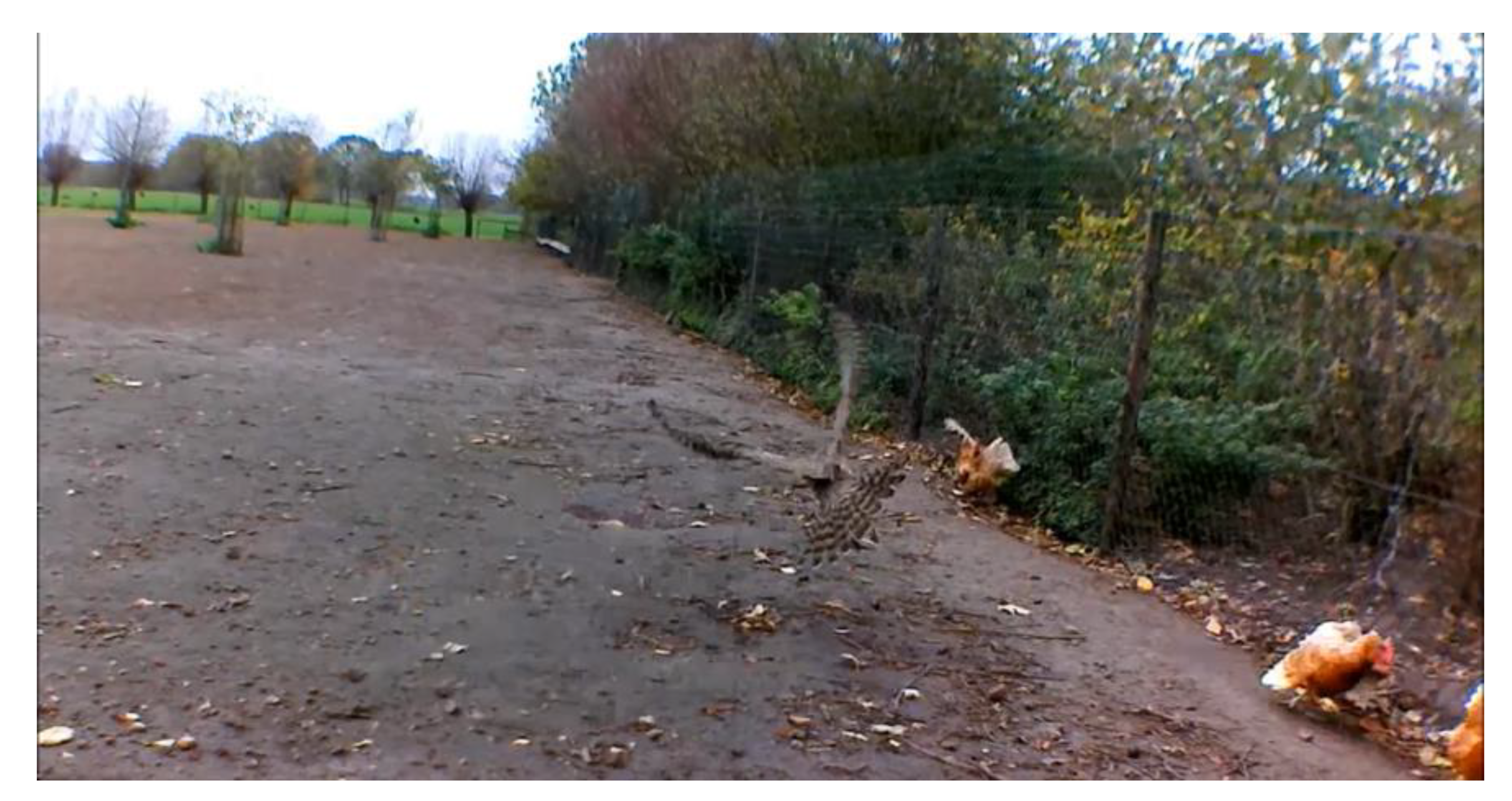 Animals 10 00177 g001 Animals 10 00177 g001