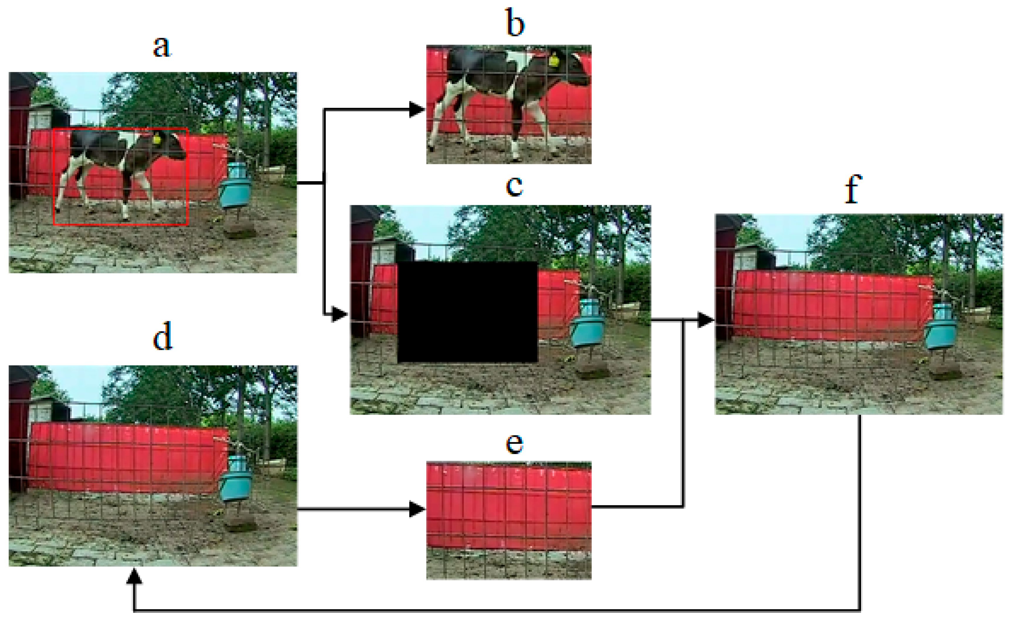 Animals 10 00190 g003