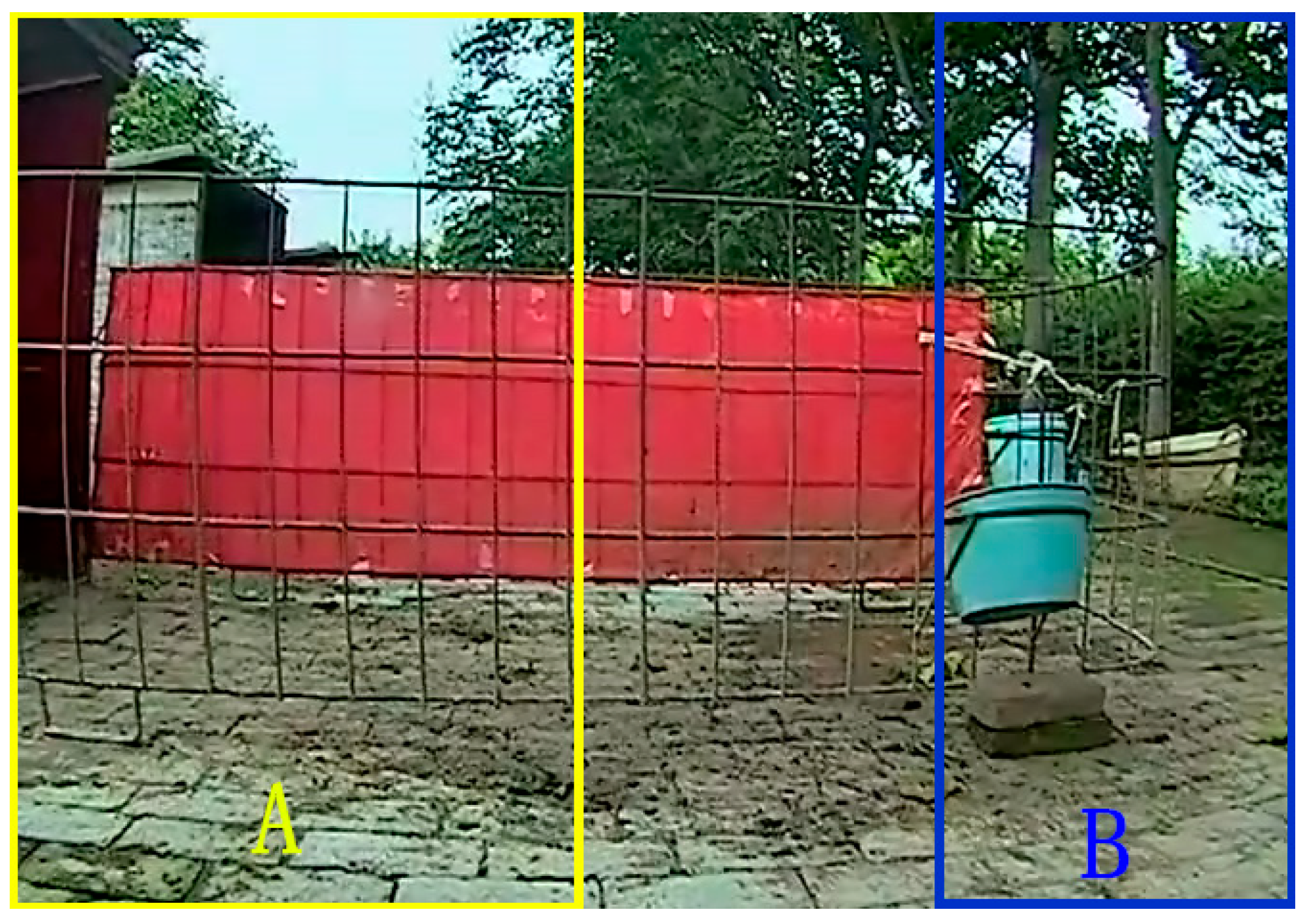 Animals 10 00190 g004