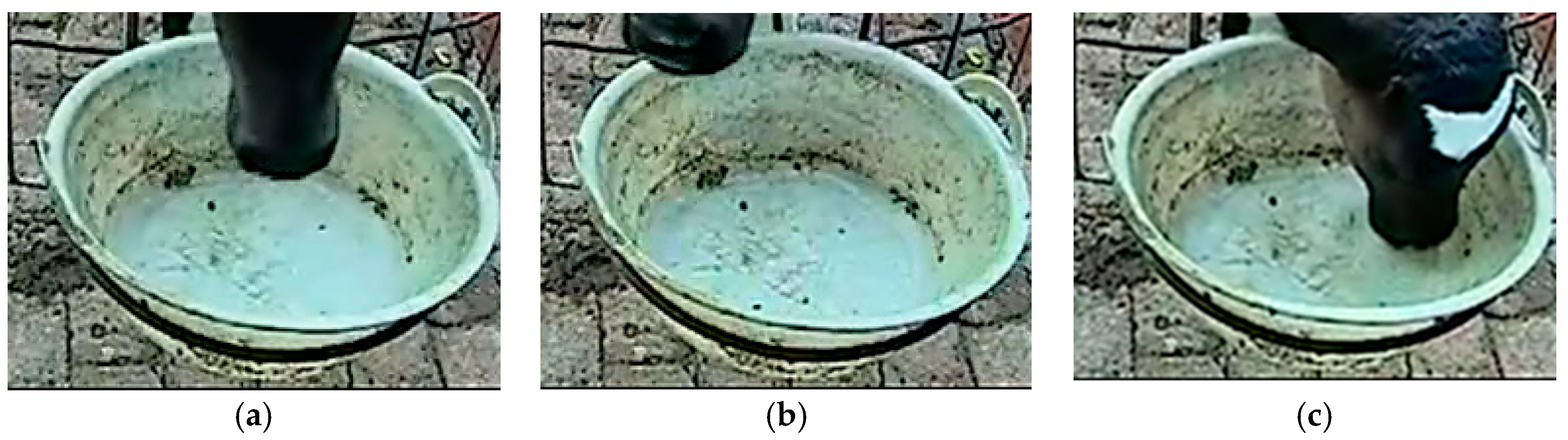 Animals 10 00190 g009