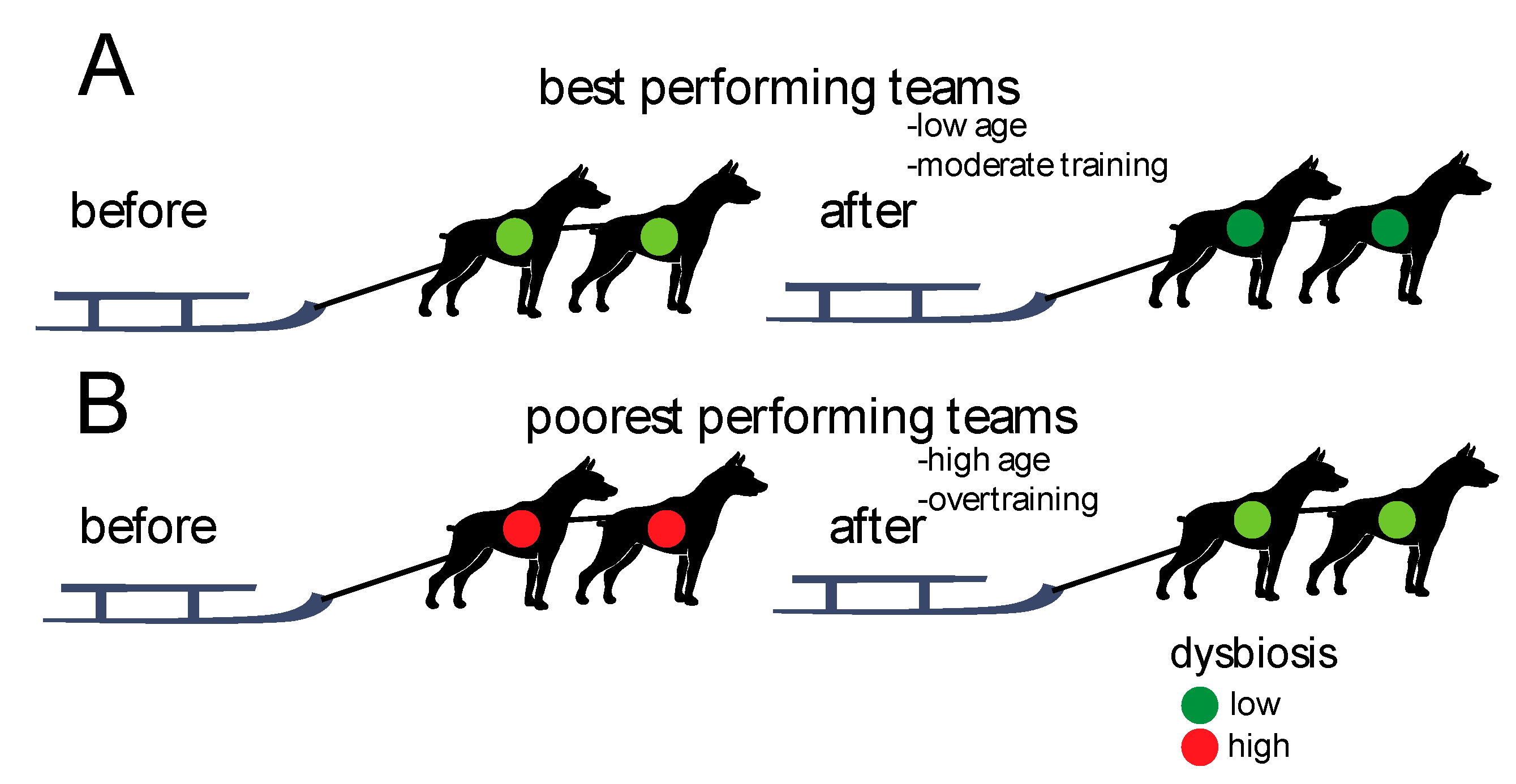 Animals 10 00204 g005