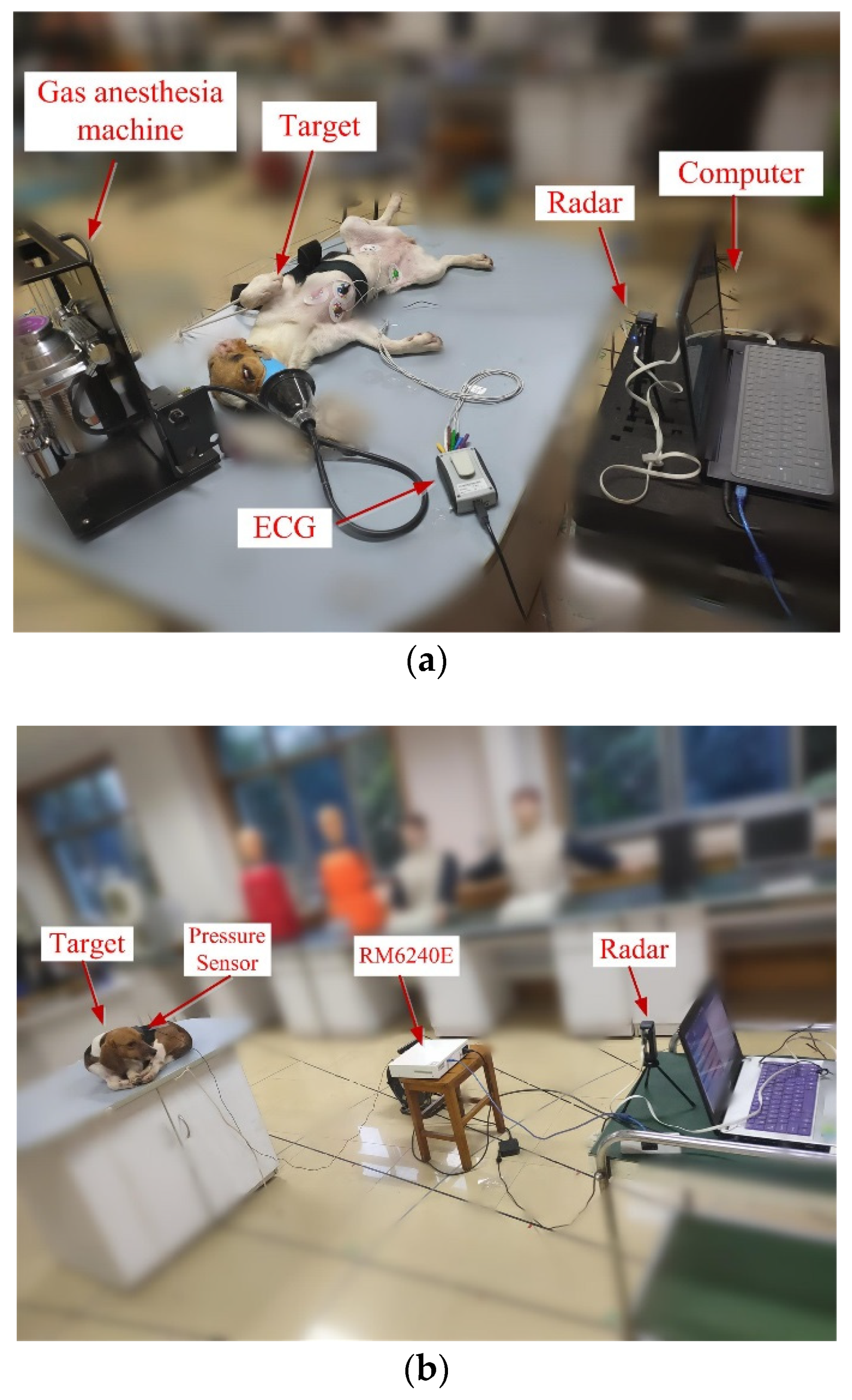 Animals 10 00205 g003 Animals 10 00205 g003