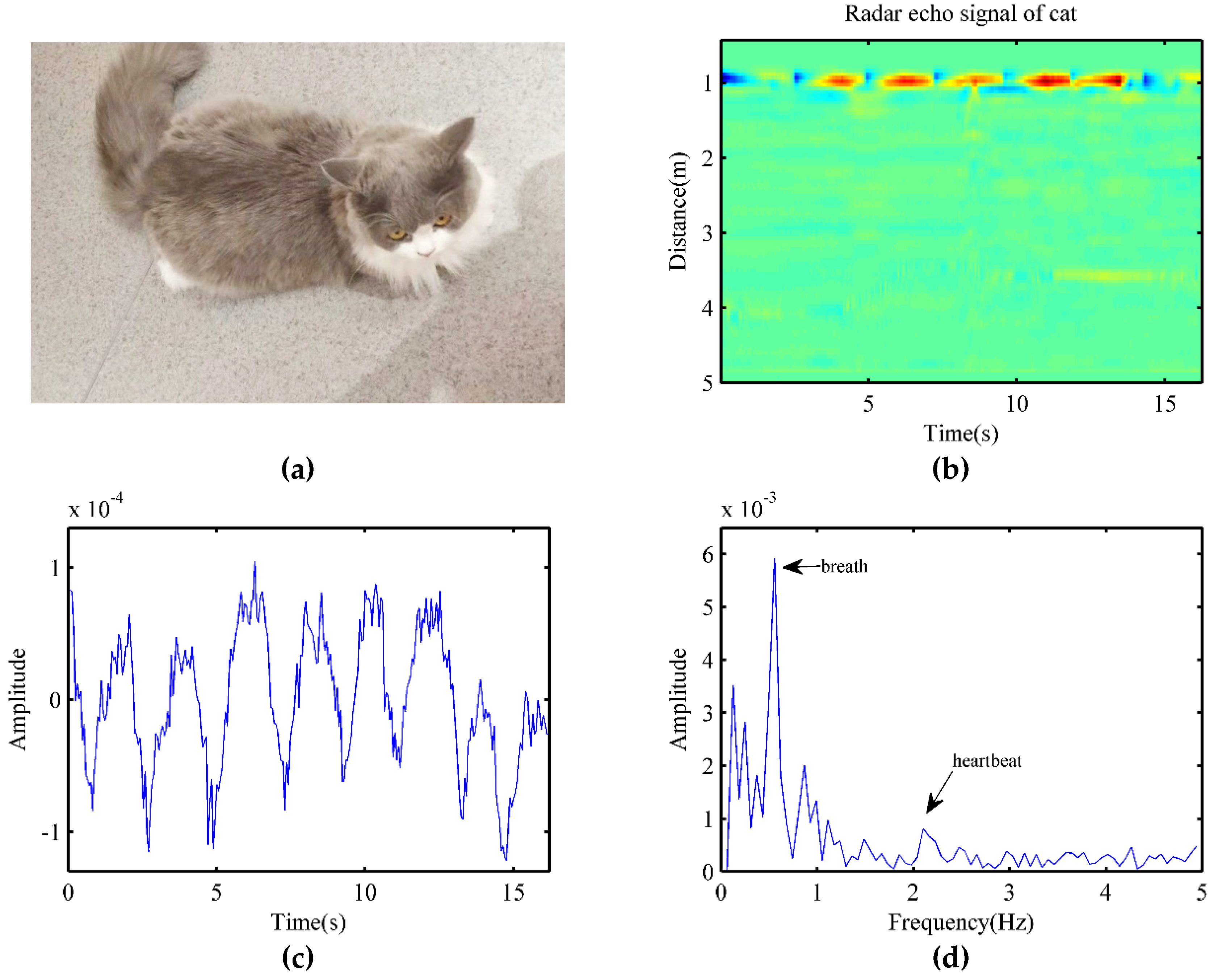 Animals 10 00205 g011 Animals 10 00205 g011