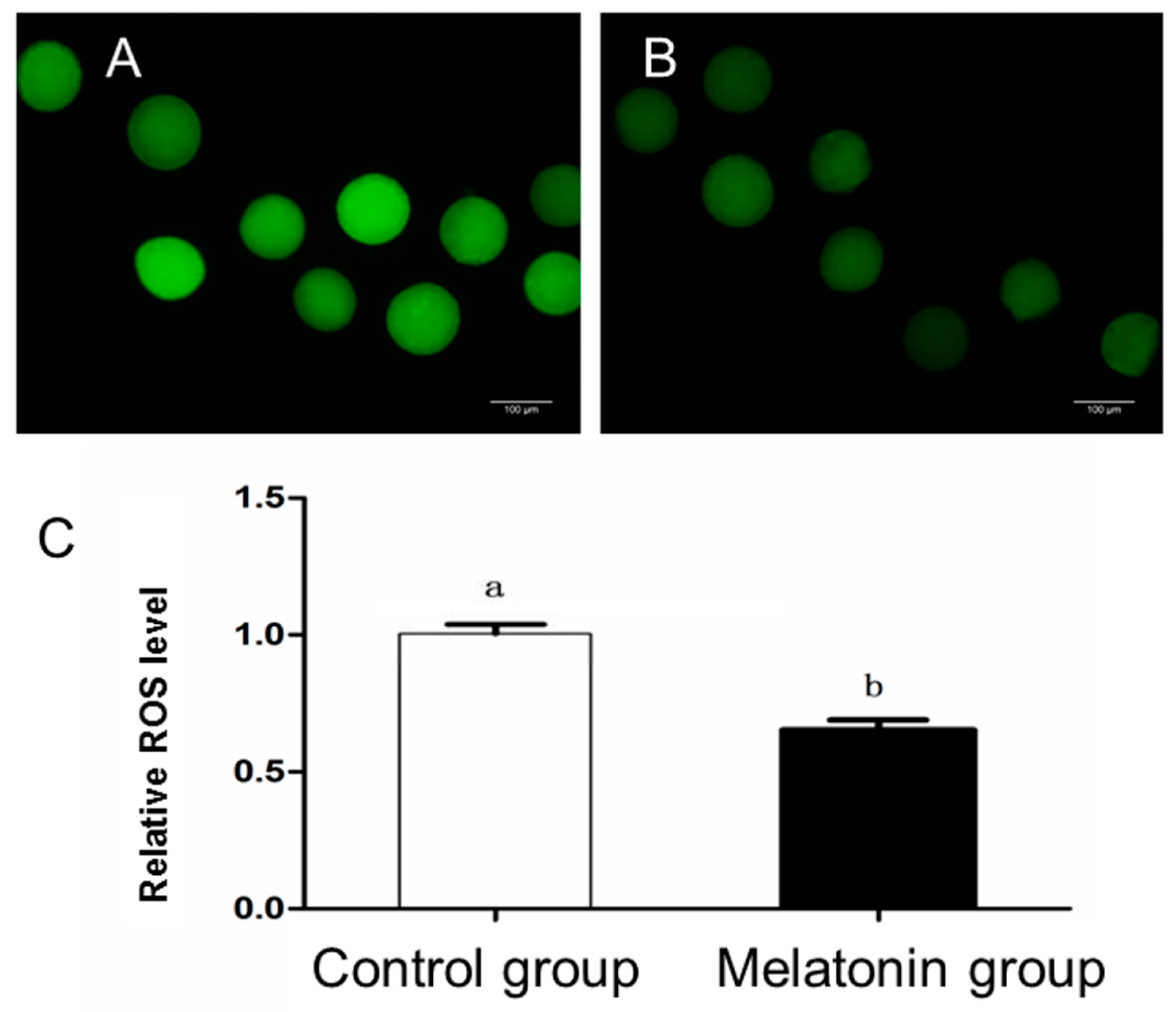 Animals 10 00209 g003