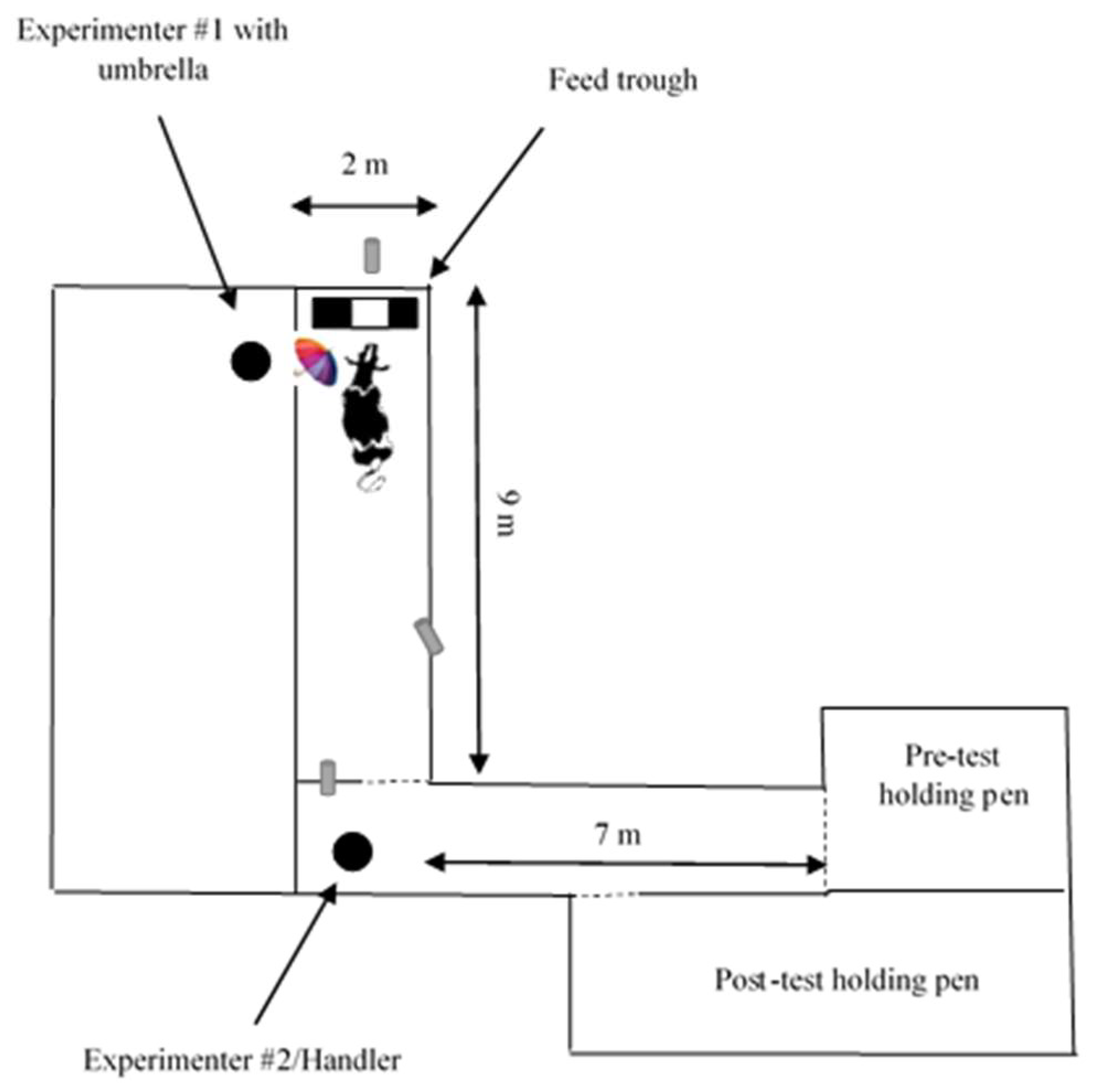 Animals 10 00217 g003