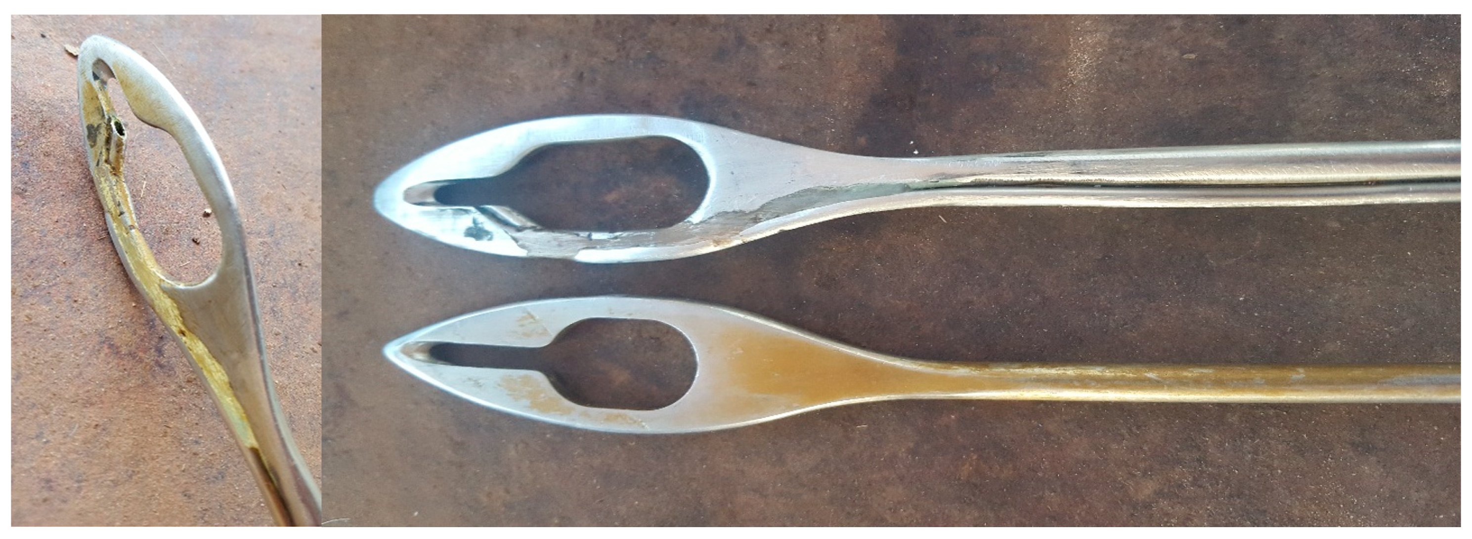 Animals 10 00249 g001