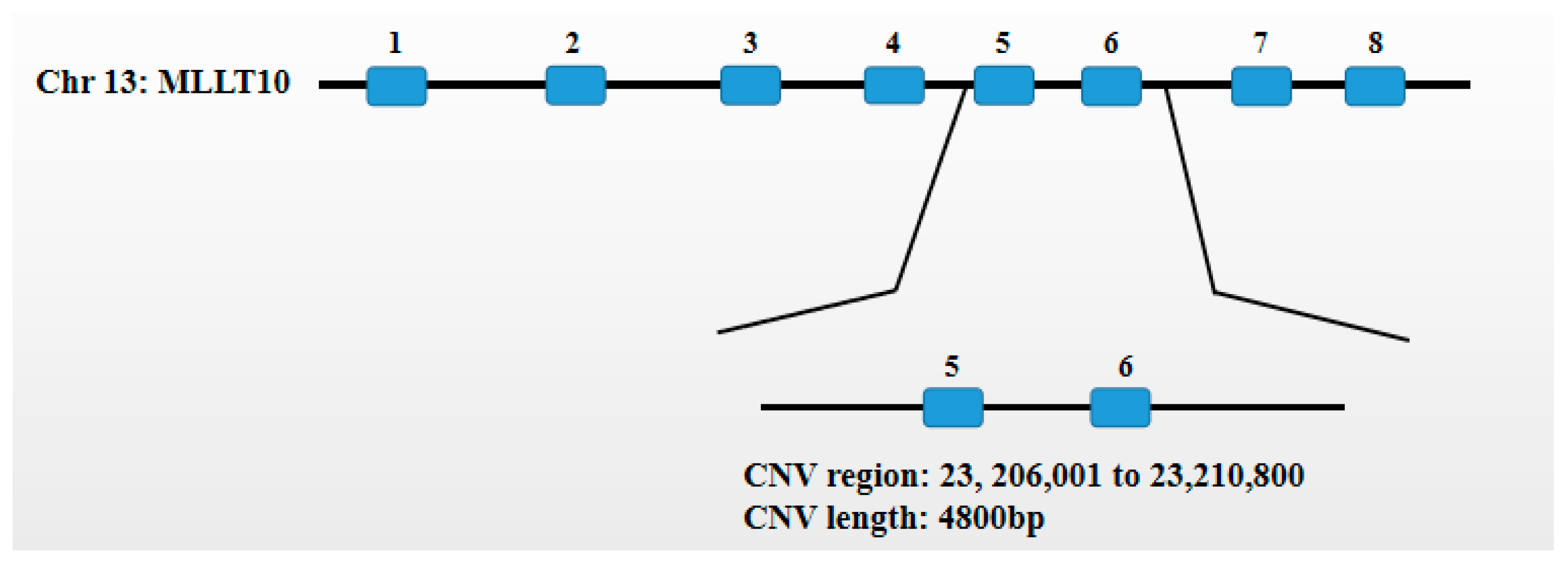 Animals 10 00250 g002 Animals 10 00250 g002
