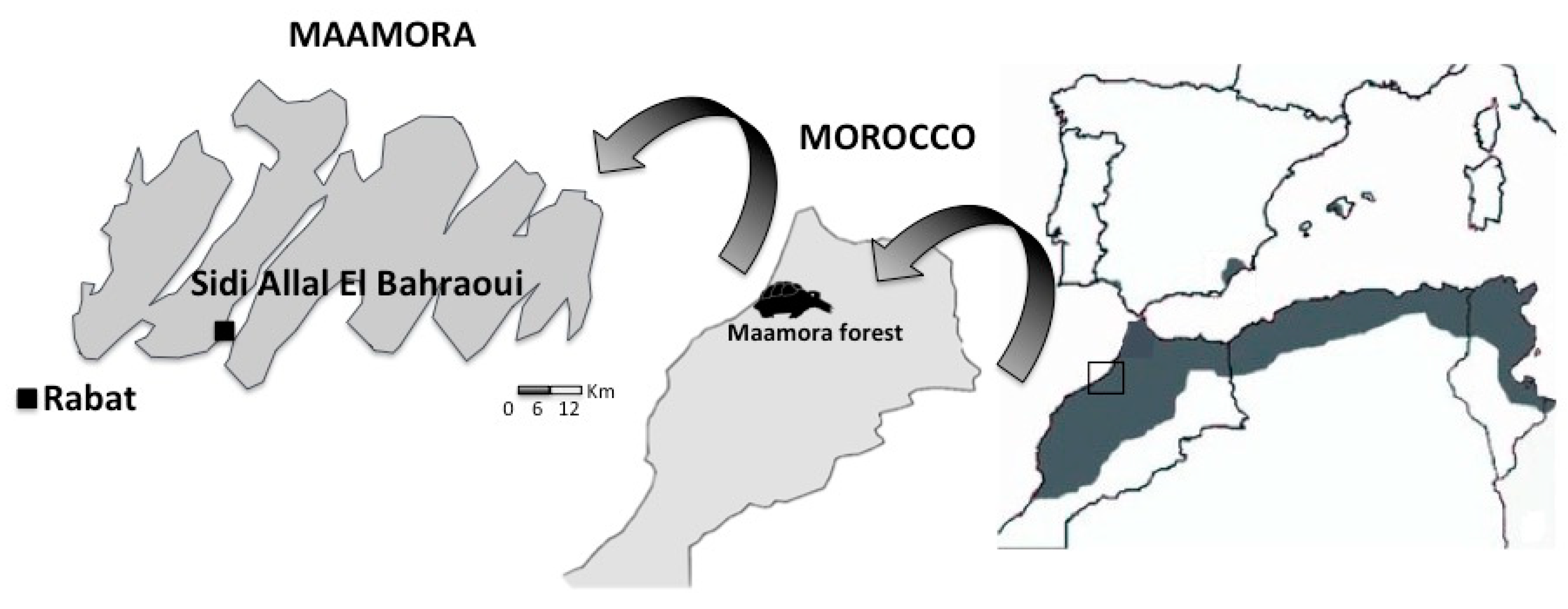 Animals 10 00265 g001