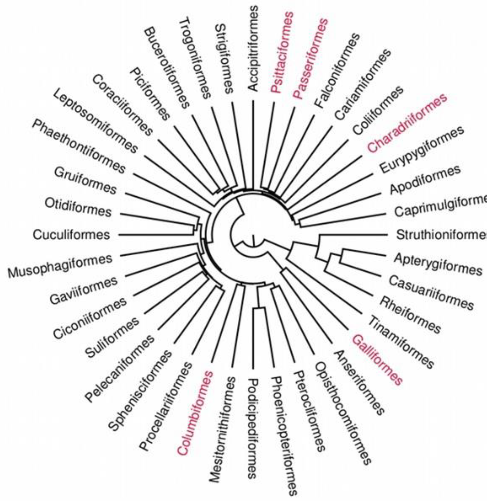 Animals 10 00270 g001 Animals 10 00270 g001