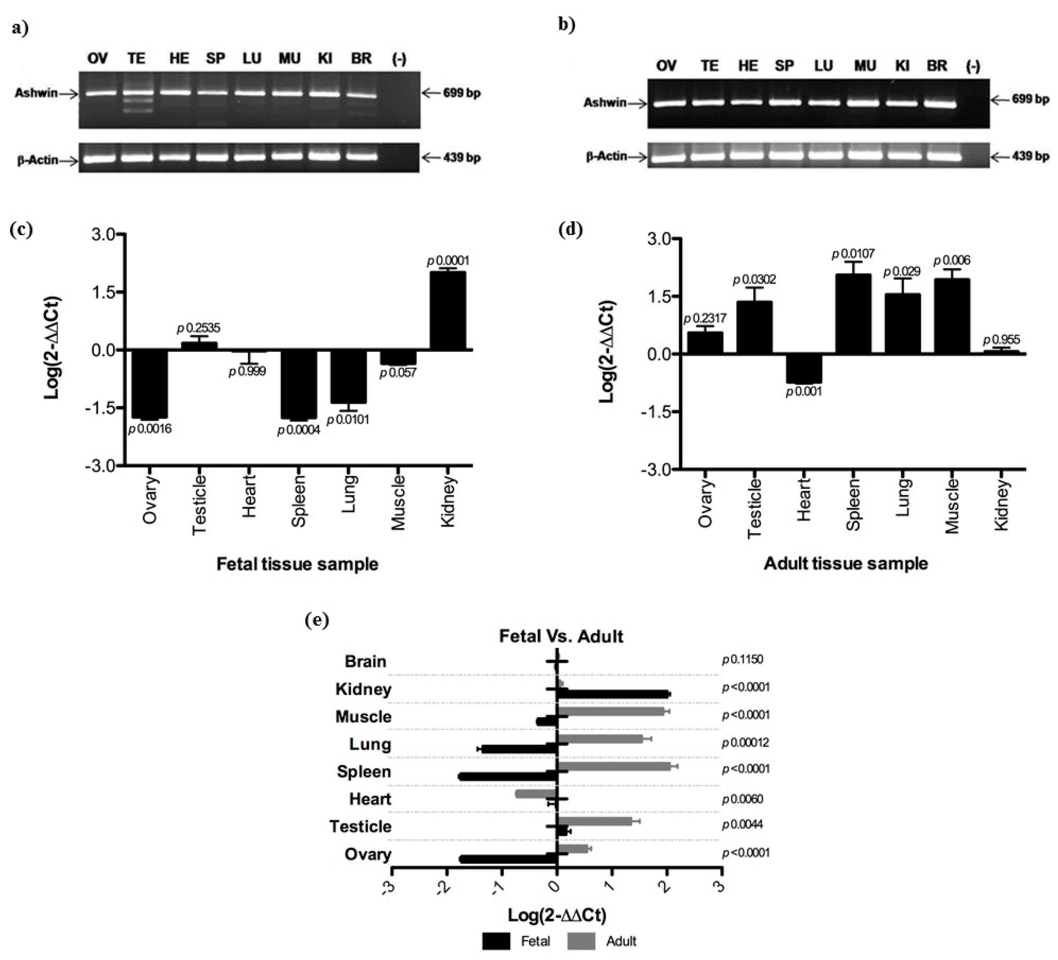 Animals 10 00276 g001