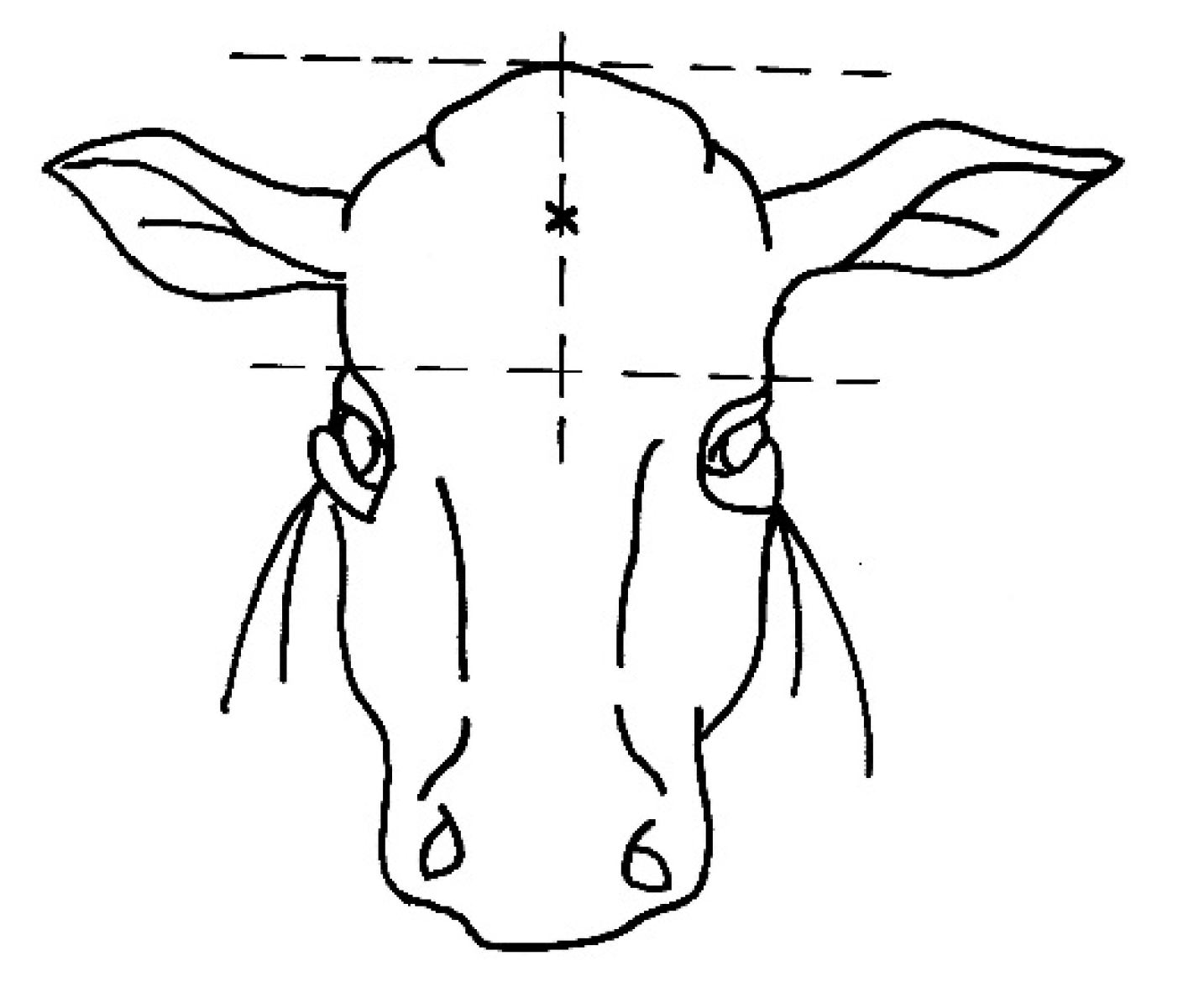 Animals 10 00280 g001