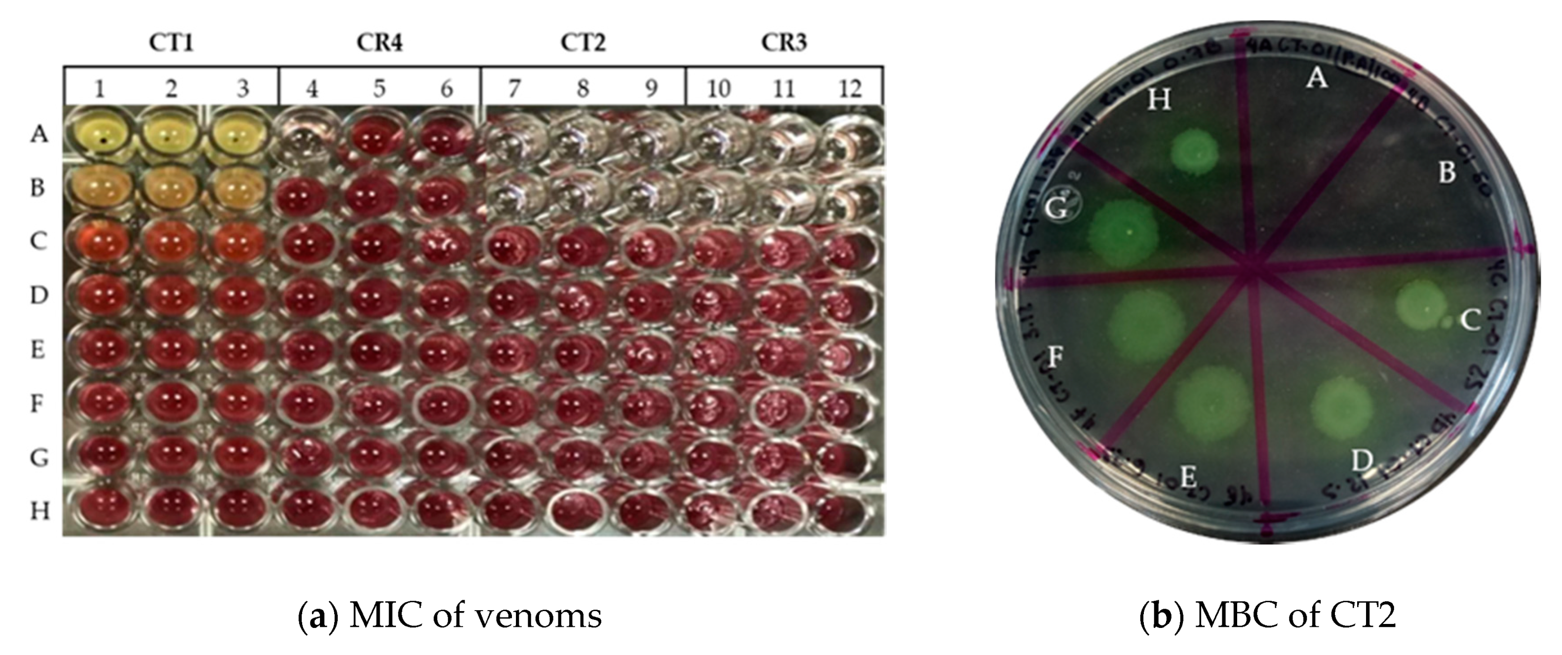 Animals 10 00281 g002