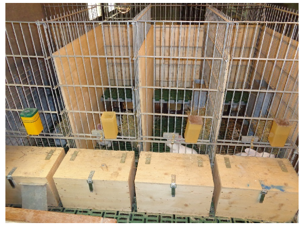 Animals 10 00286 g004