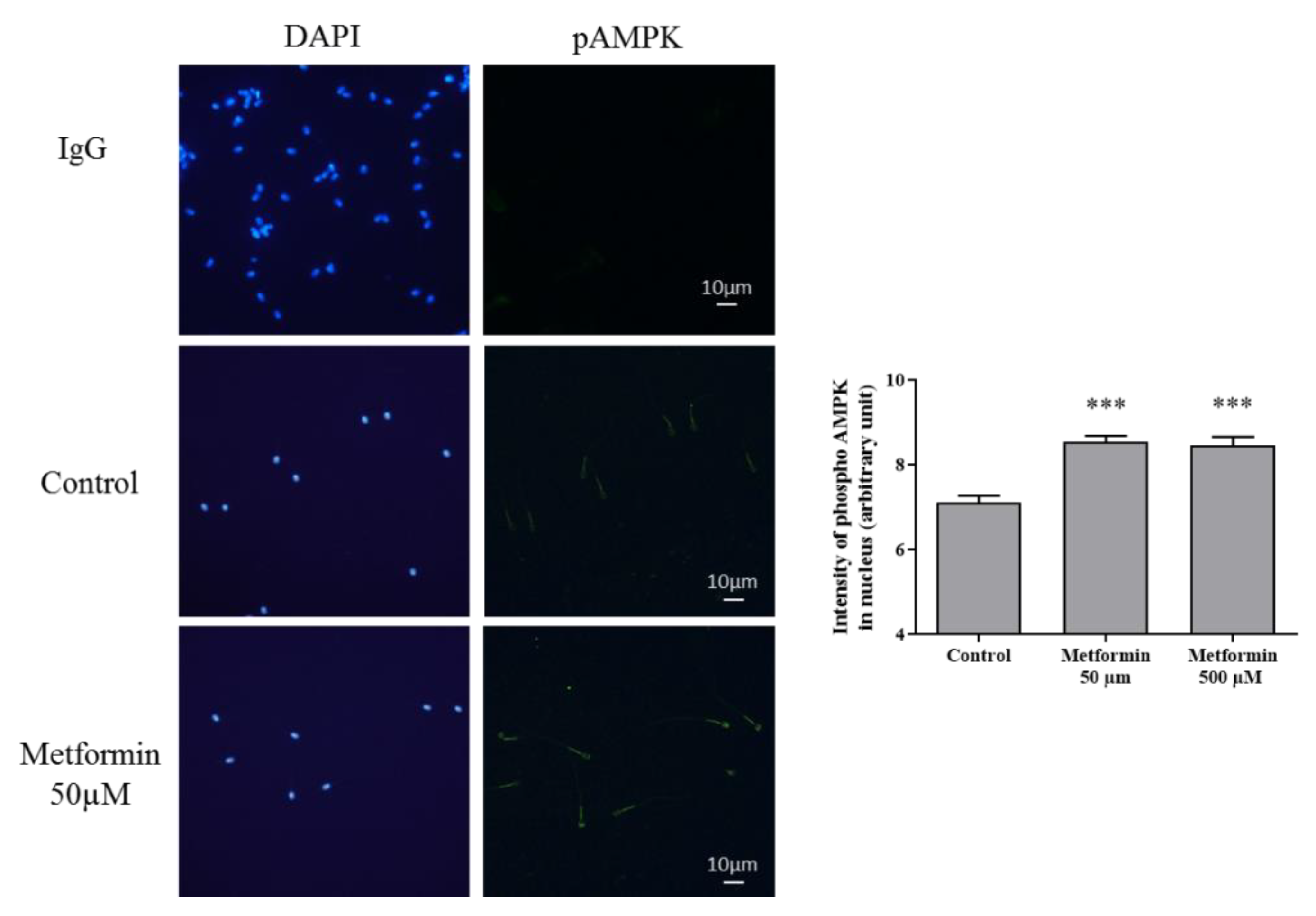Animals 10 00287 g003
