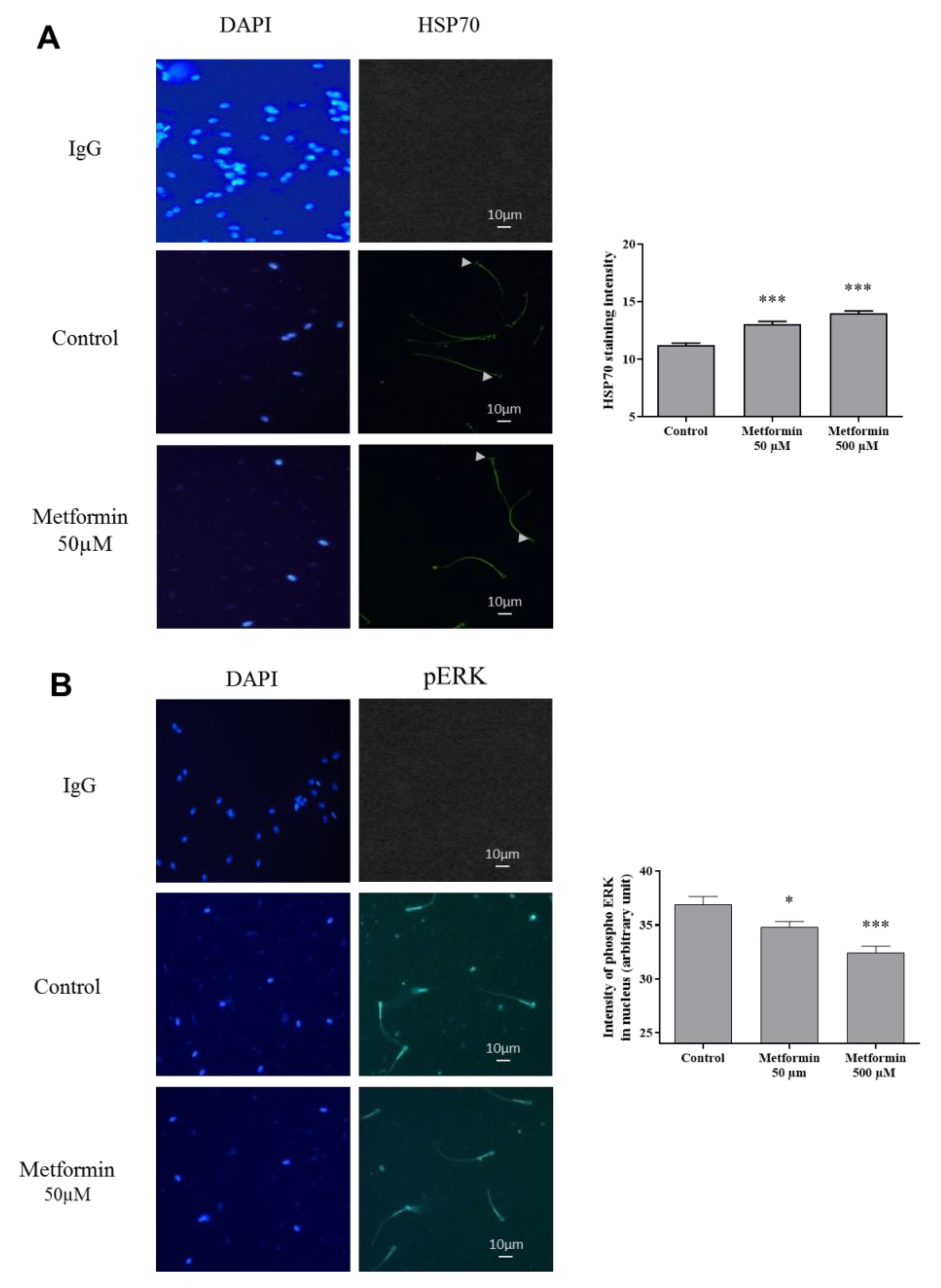 Animals 10 00287 g004