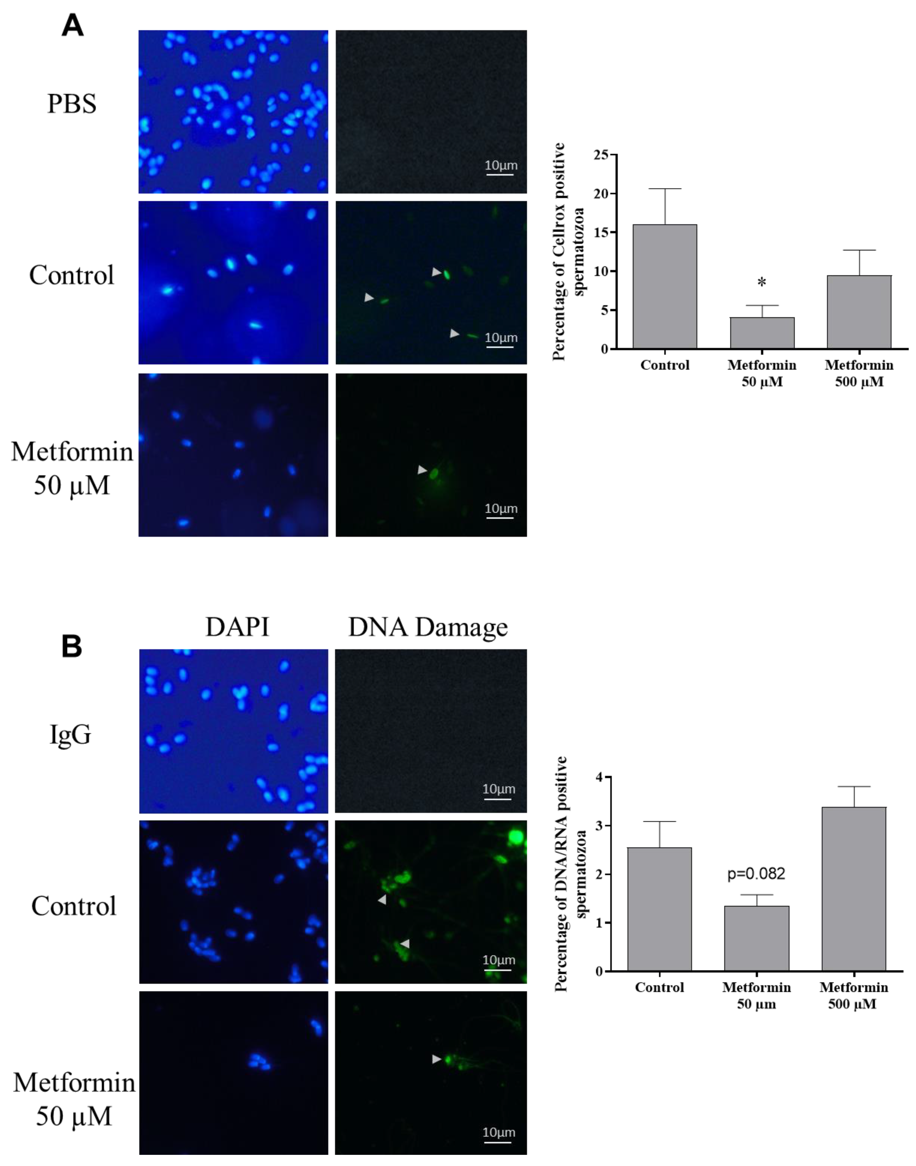 Animals 10 00287 g005