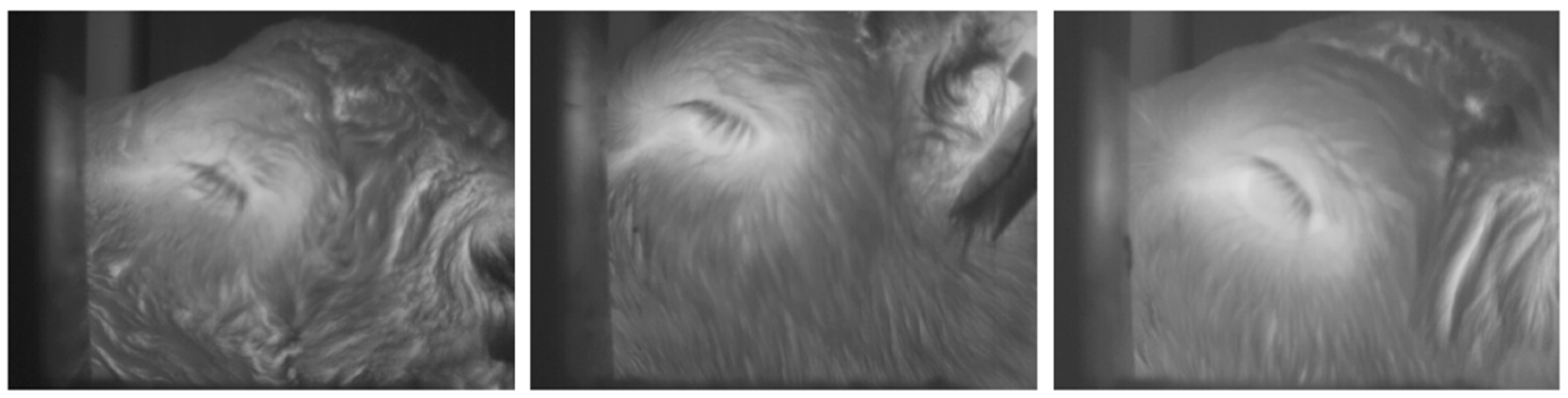 Animals 10 00292 g002 Animals 10 00292 g002