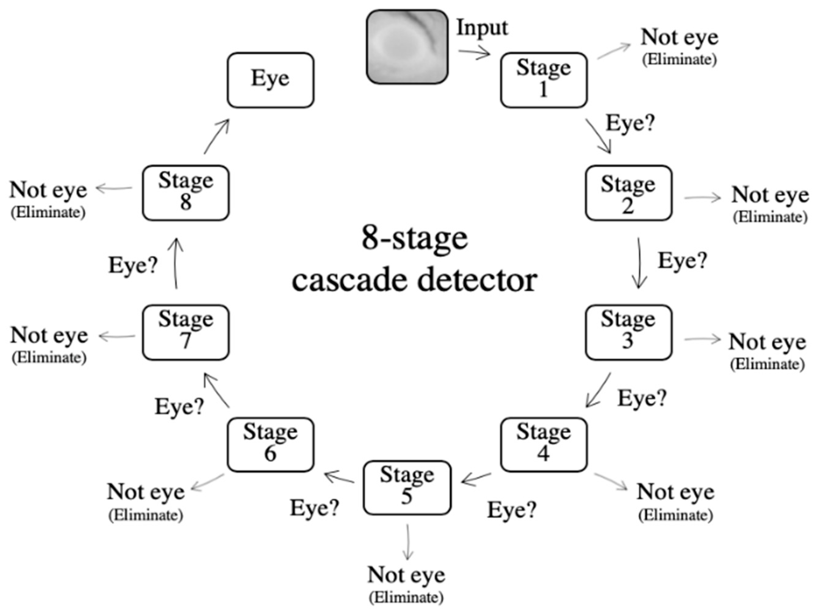 Animals 10 00292 g003 Animals 10 00292 g003