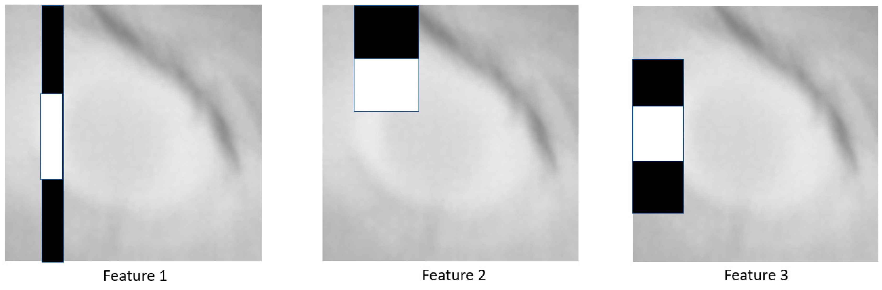 Animals 10 00292 g005 Animals 10 00292 g005