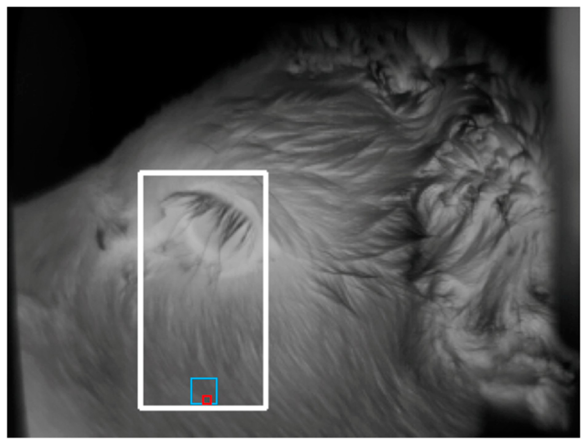 Animals 10 00292 g008 Animals 10 00292 g008