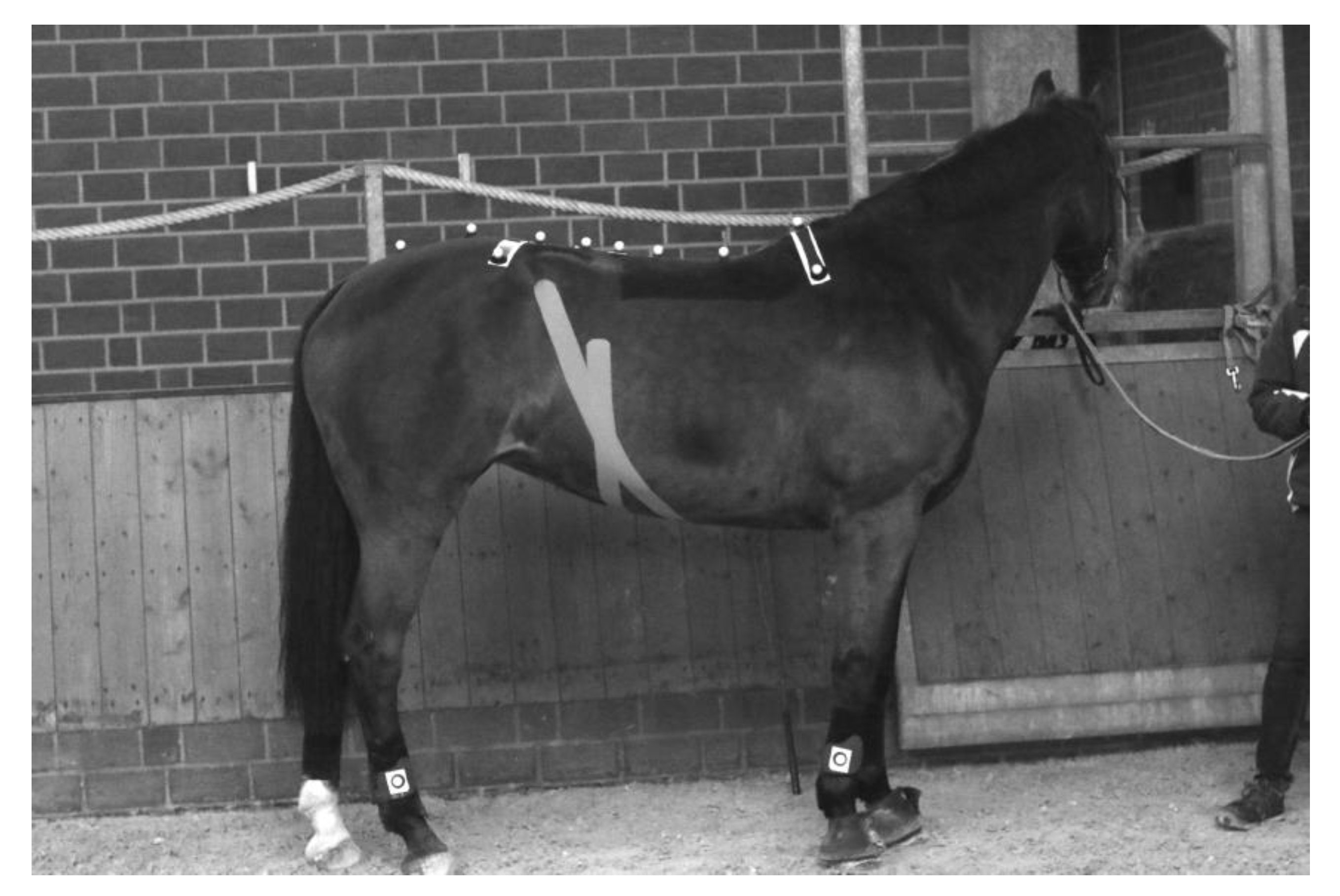 Animals 10 00301 g001 Animals 10 00301 g001