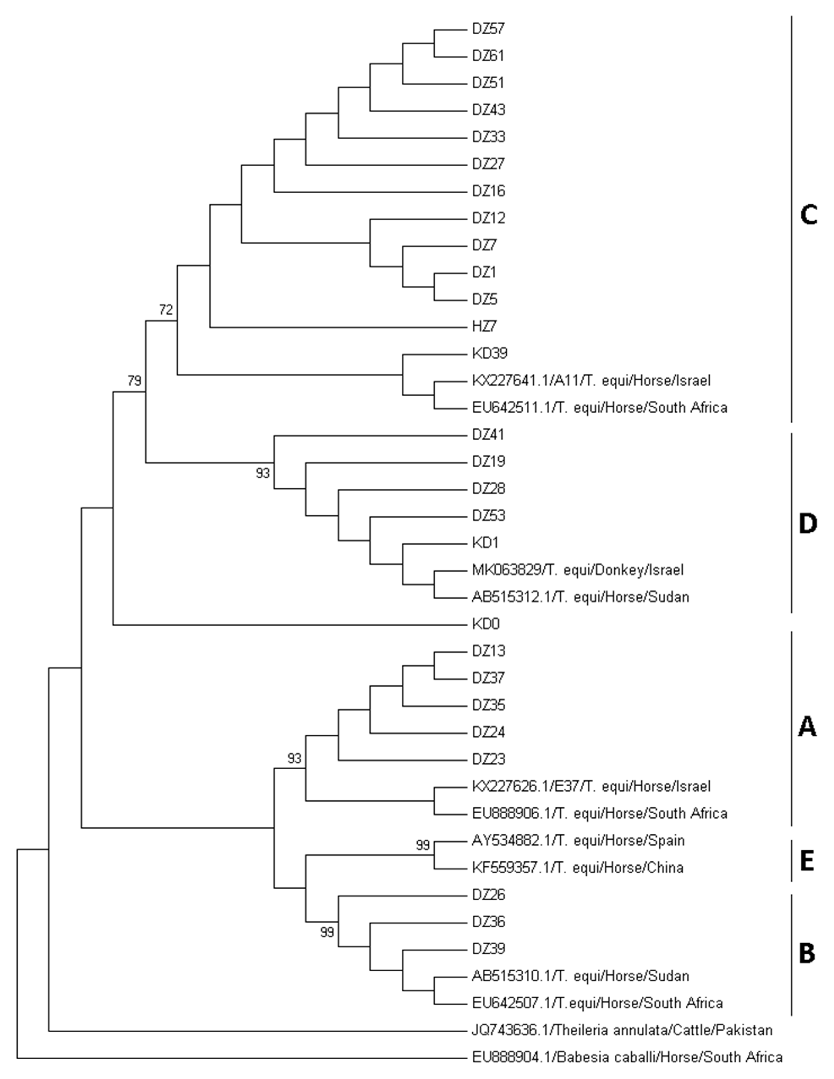 Animals 10 00324 g001