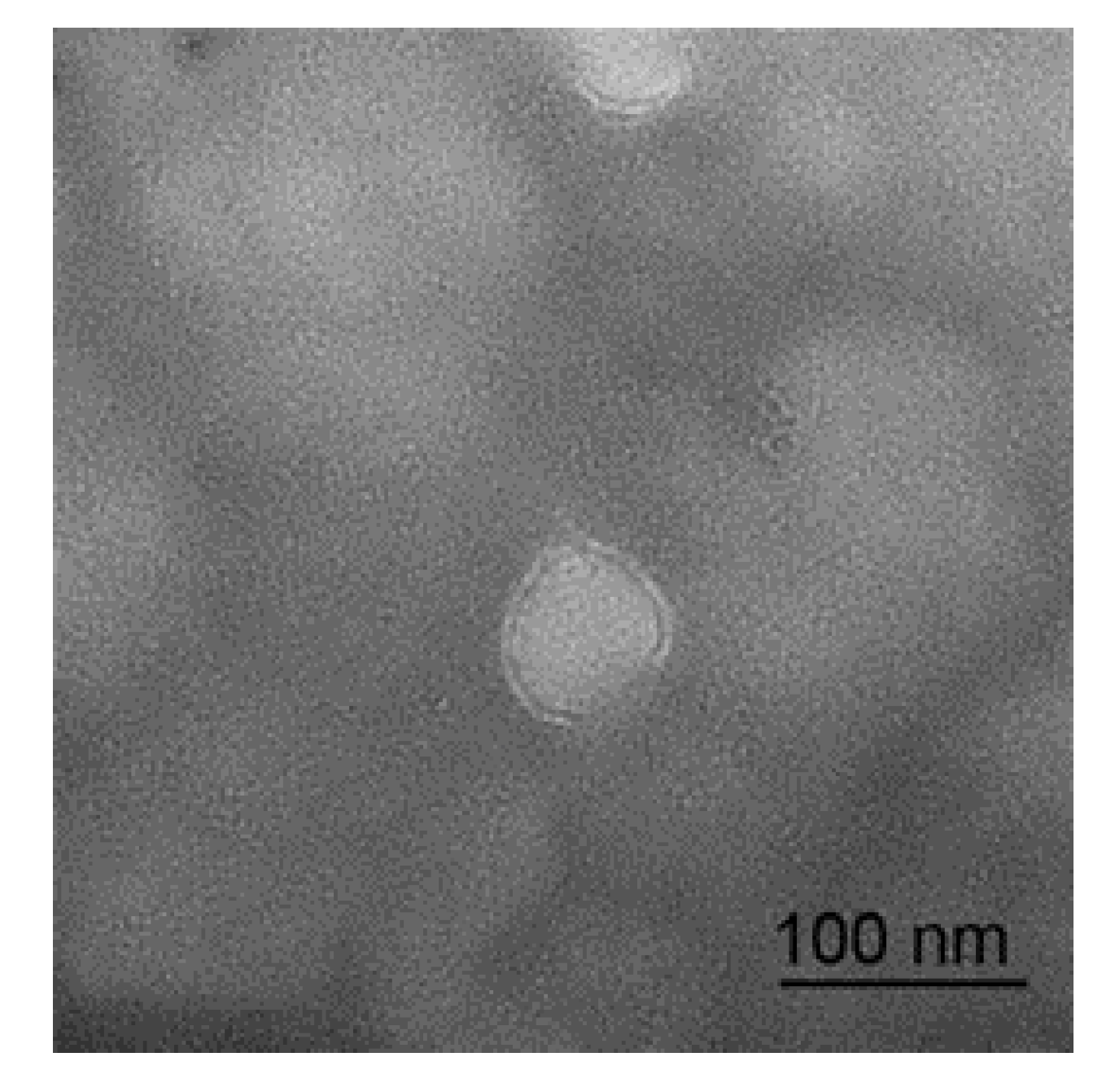 Animals 10 00331 g001 Animals 10 00331 g001