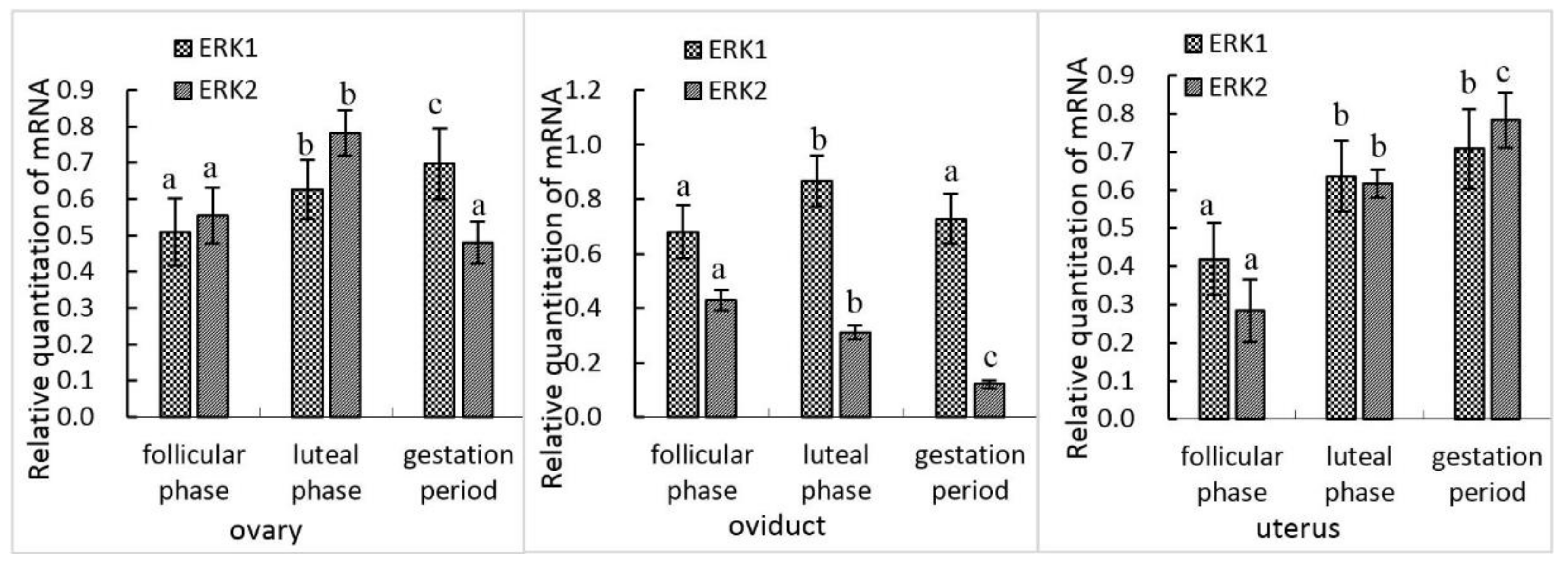 Animals 10 00334 g001