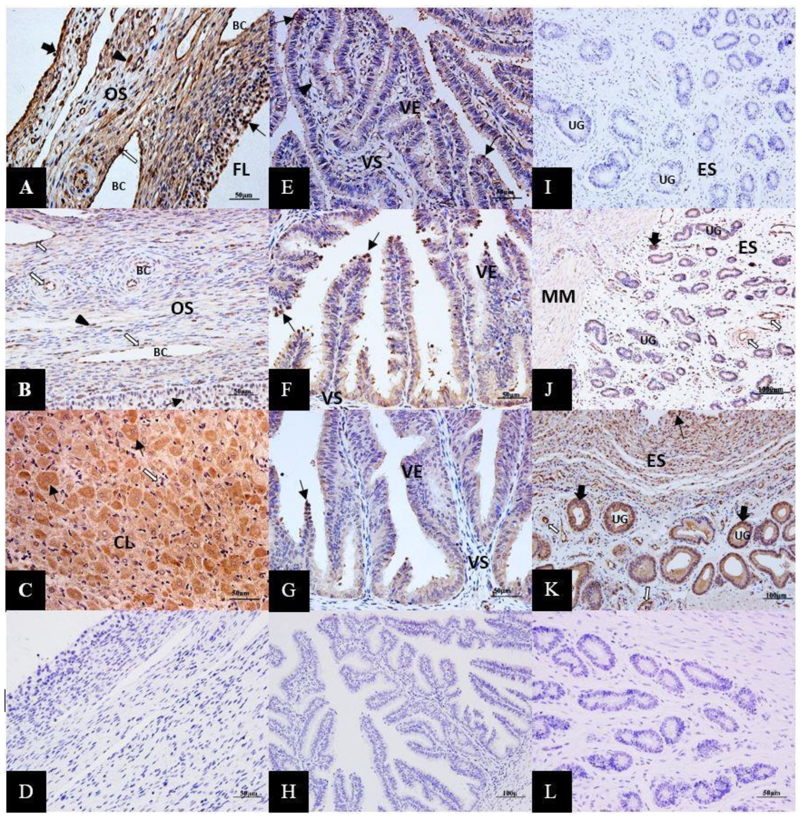 Animals 10 00334 g003