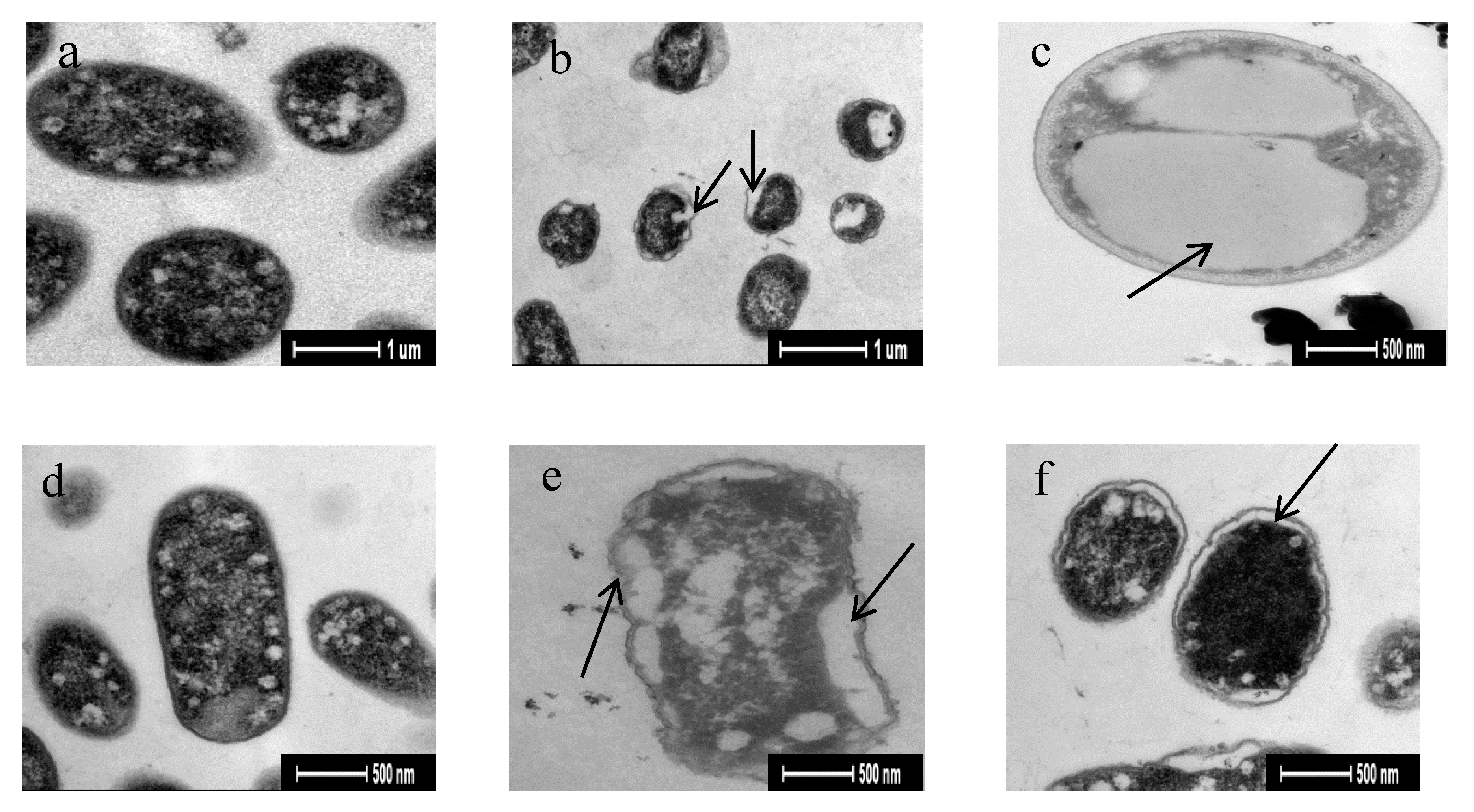 Animals 10 00337 g005 Animals 10 00337 g005