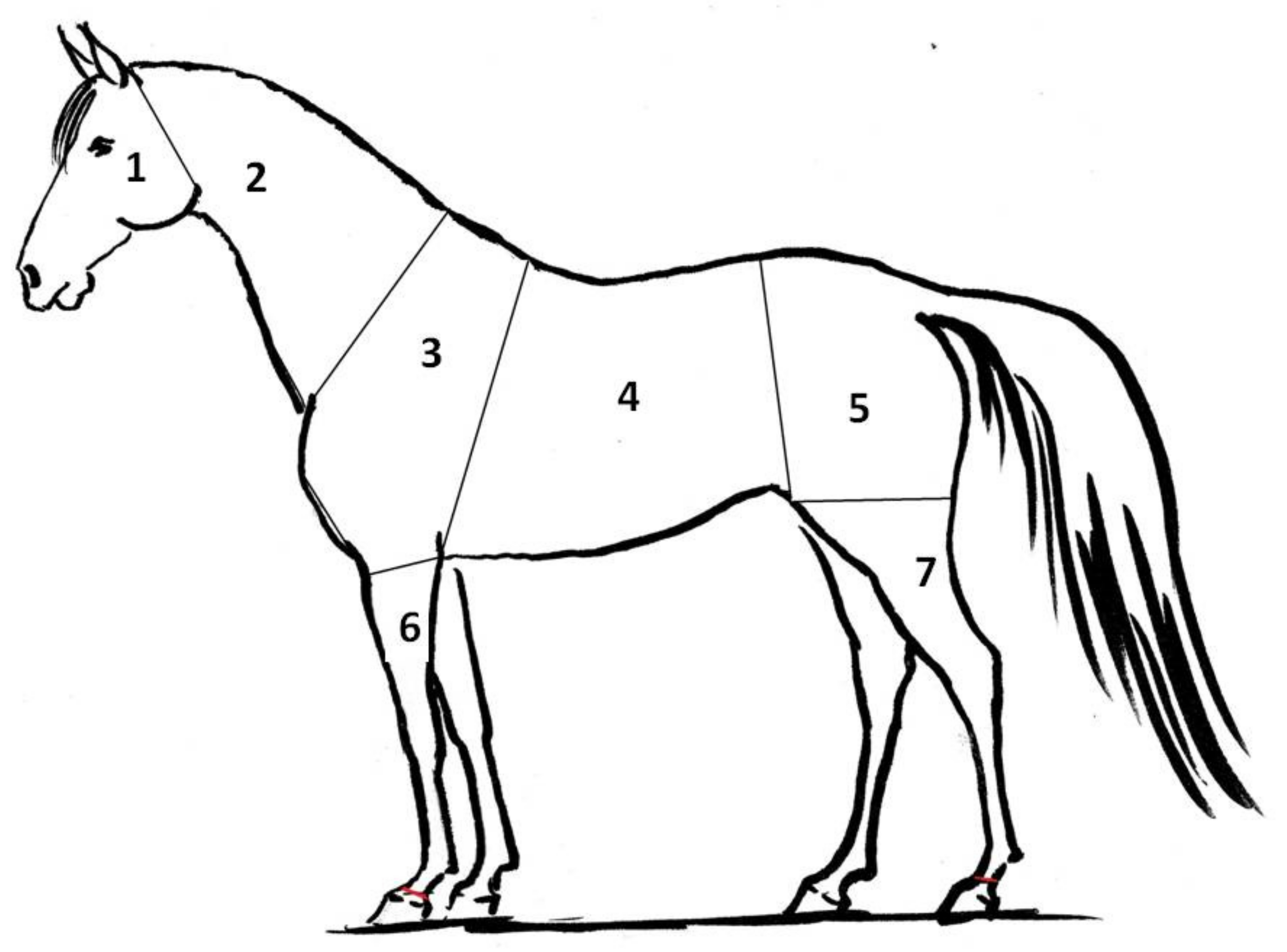 Animals 10 00340 g001 Animals 10 00340 g001