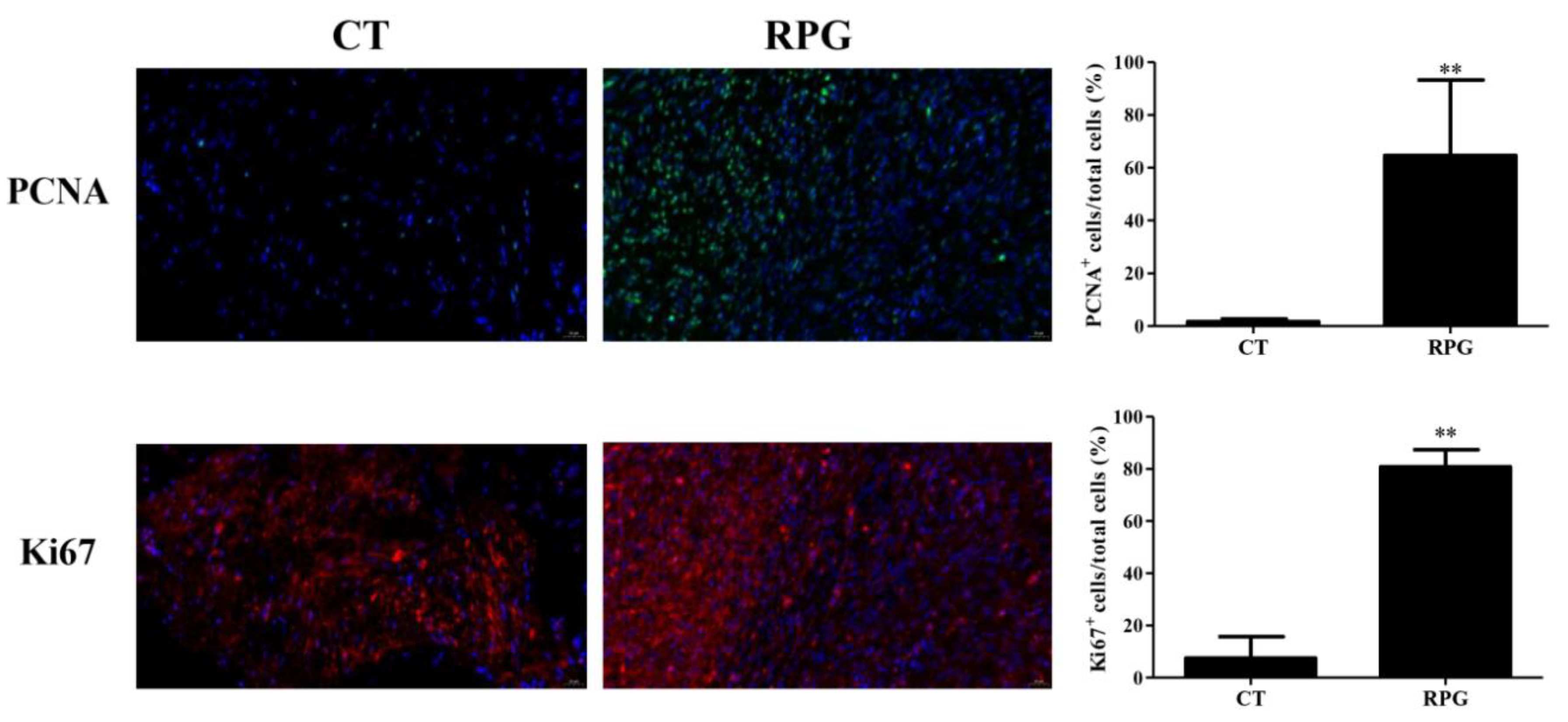 Animals 10 00357 g002 Animals 10 00357 g002